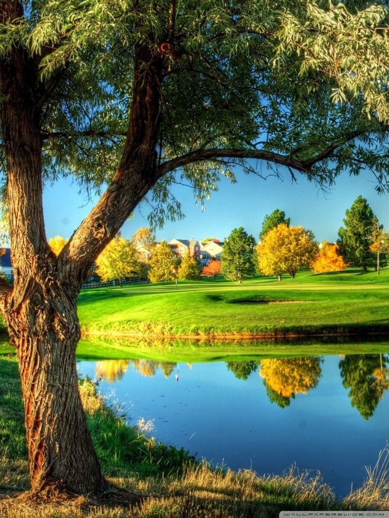 Golf Course Landscape Ultra HD Desktop