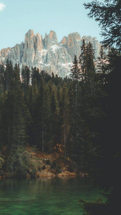 Nature Forest Hills