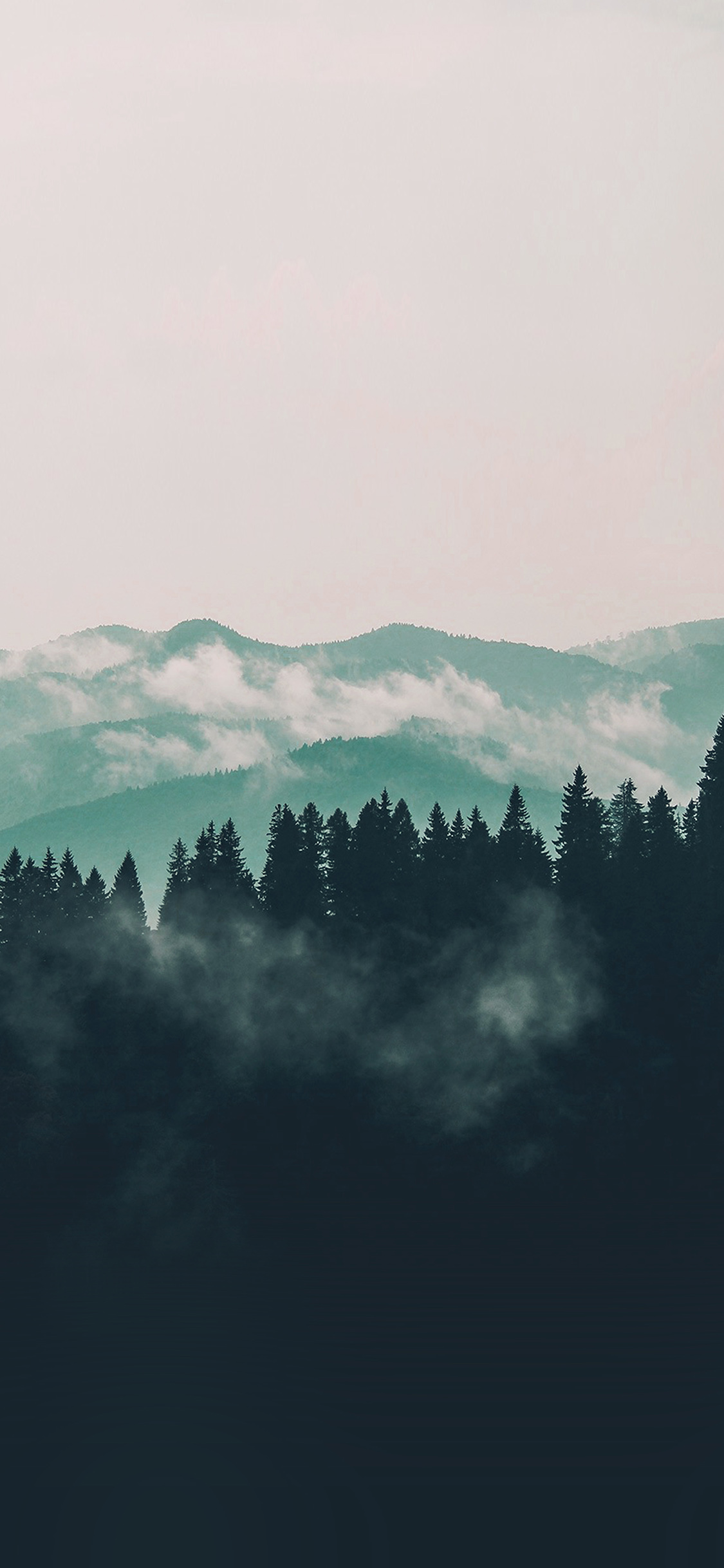 mountain fog nature view wood forest blue