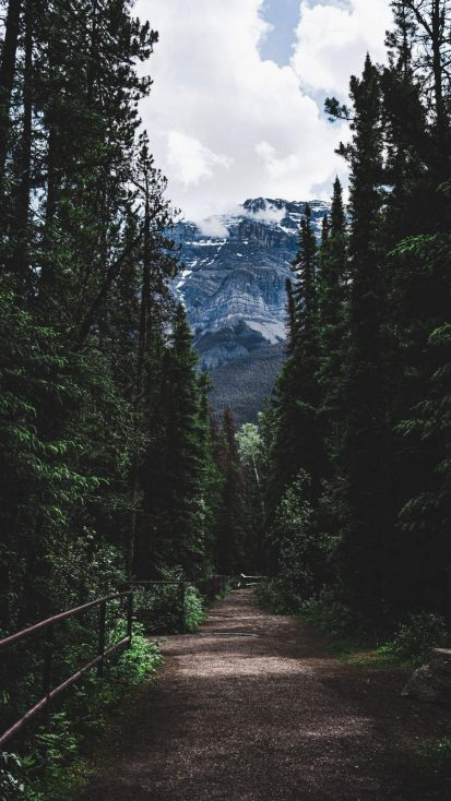 Nature iphone wallpaper