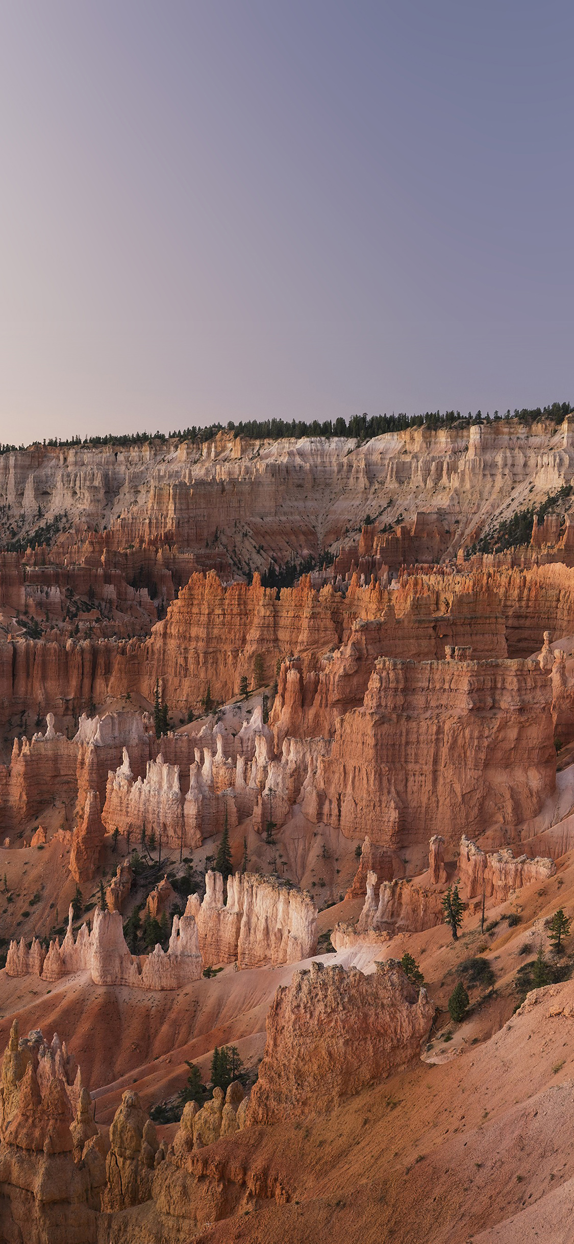 Grand Canyon Creek Nature Desert