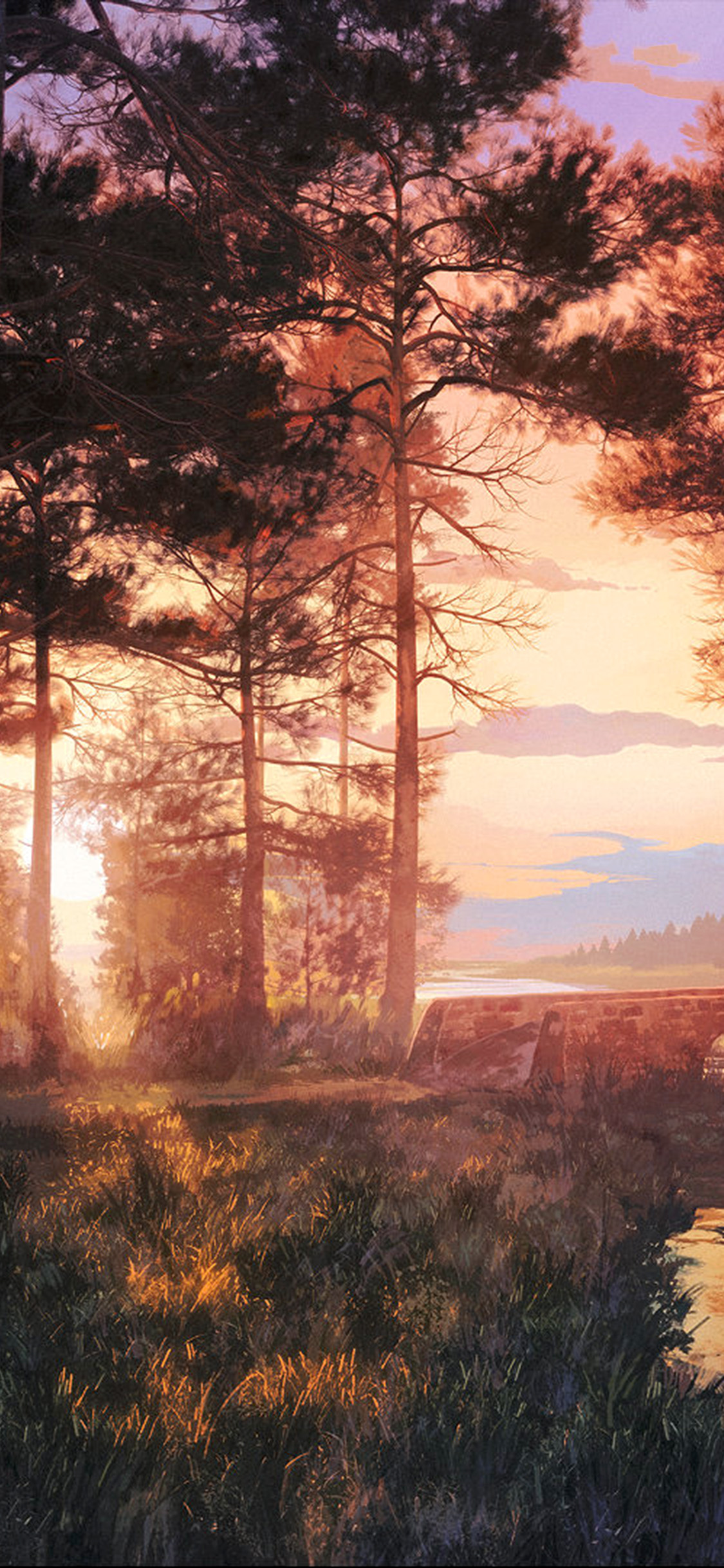 iPhone X wallpaper. wood nature illust forest picture art sunset