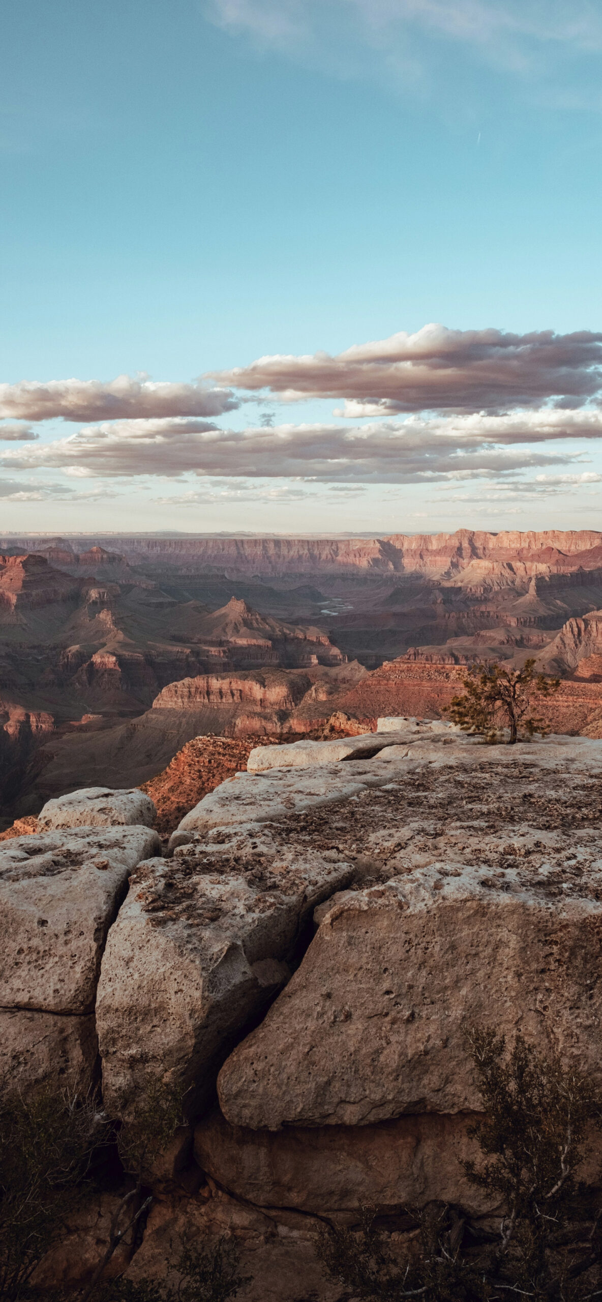 Grand Canyon Wallpaper for iPhone 11