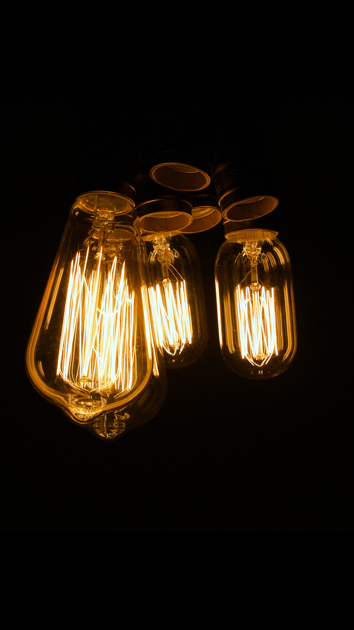 Light Bulb Dark Night Nature