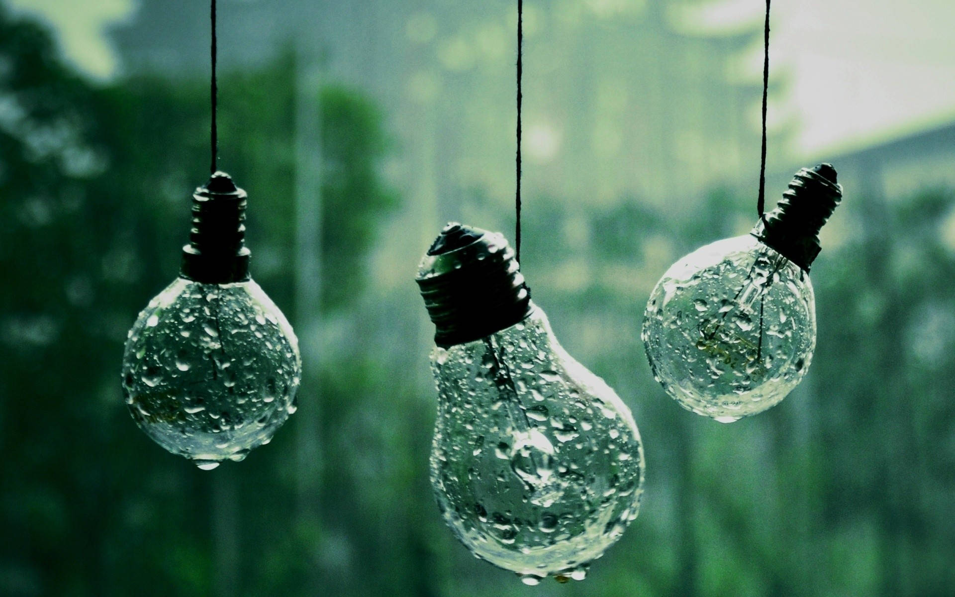 Light Bulb Wallpaper