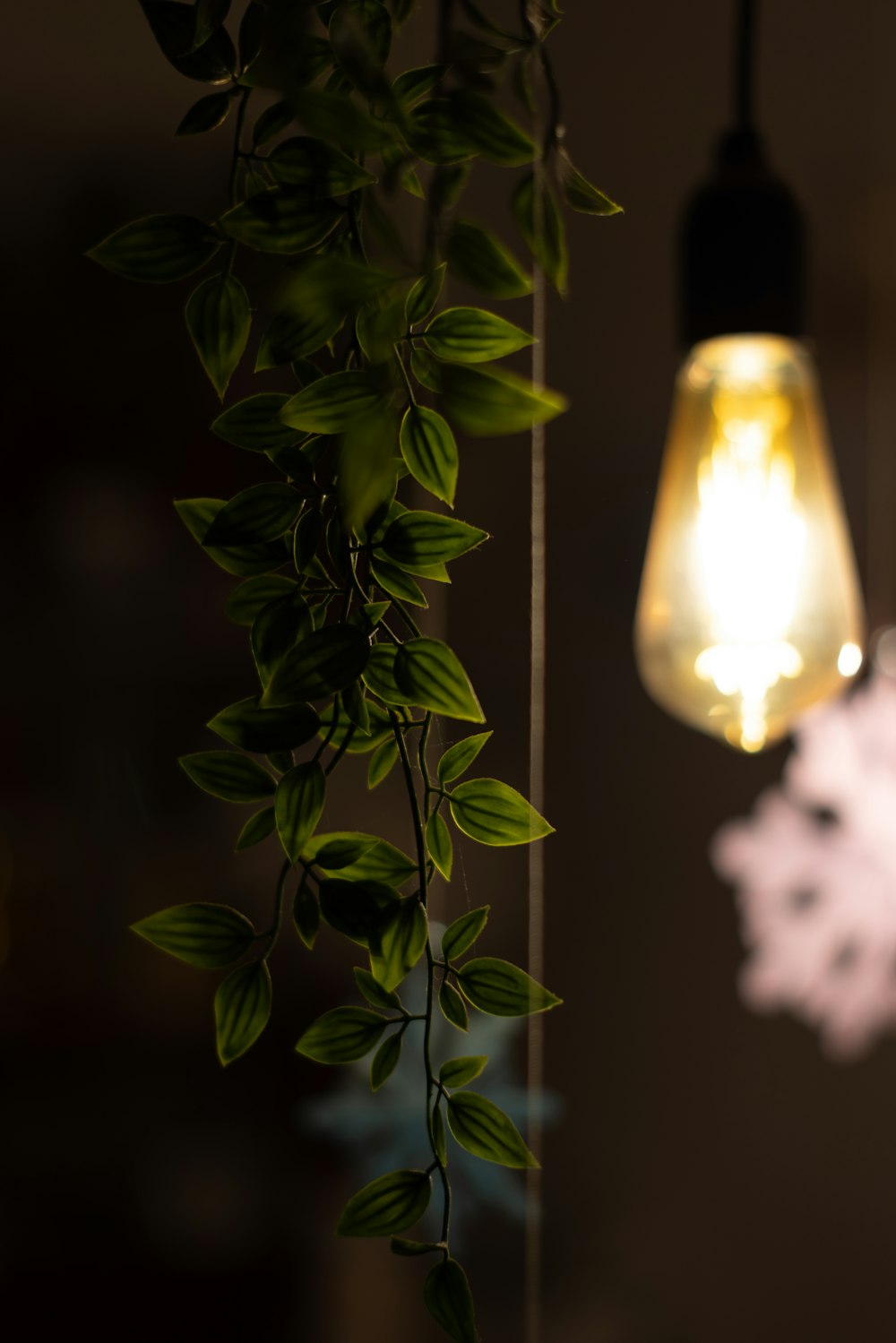 A light bulb hanging from a ceiling