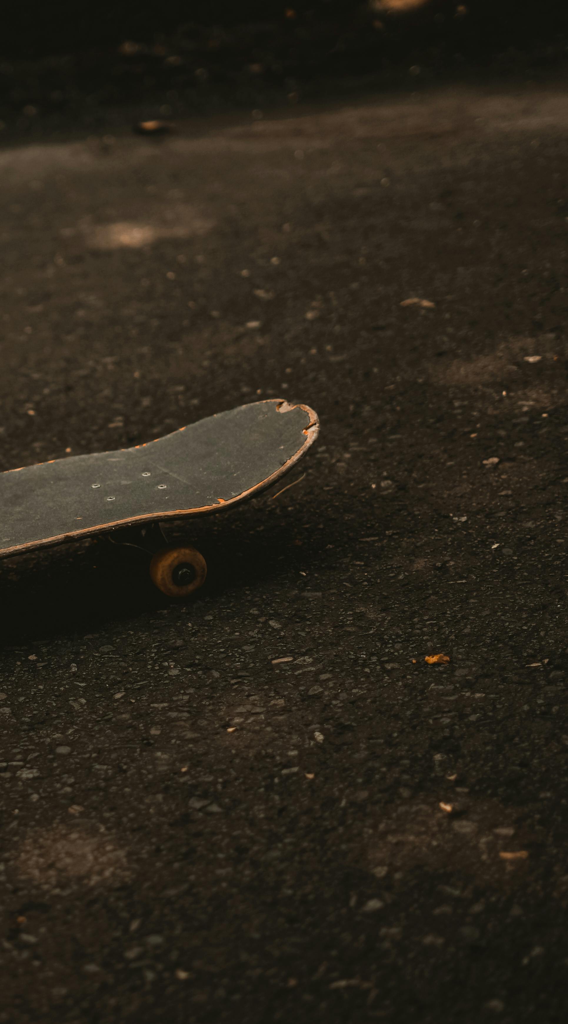 Skateboard Wheel Photo, Download