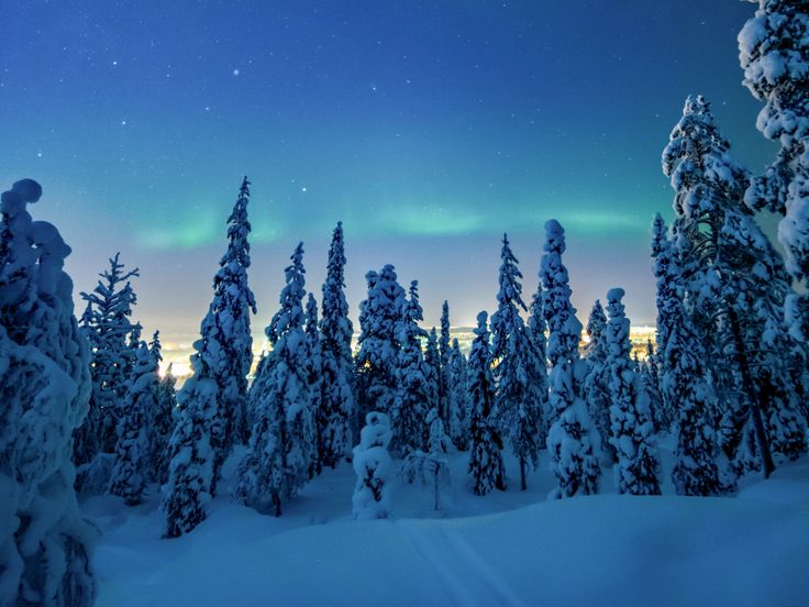 Desktop Wallpaper Winter, dawn