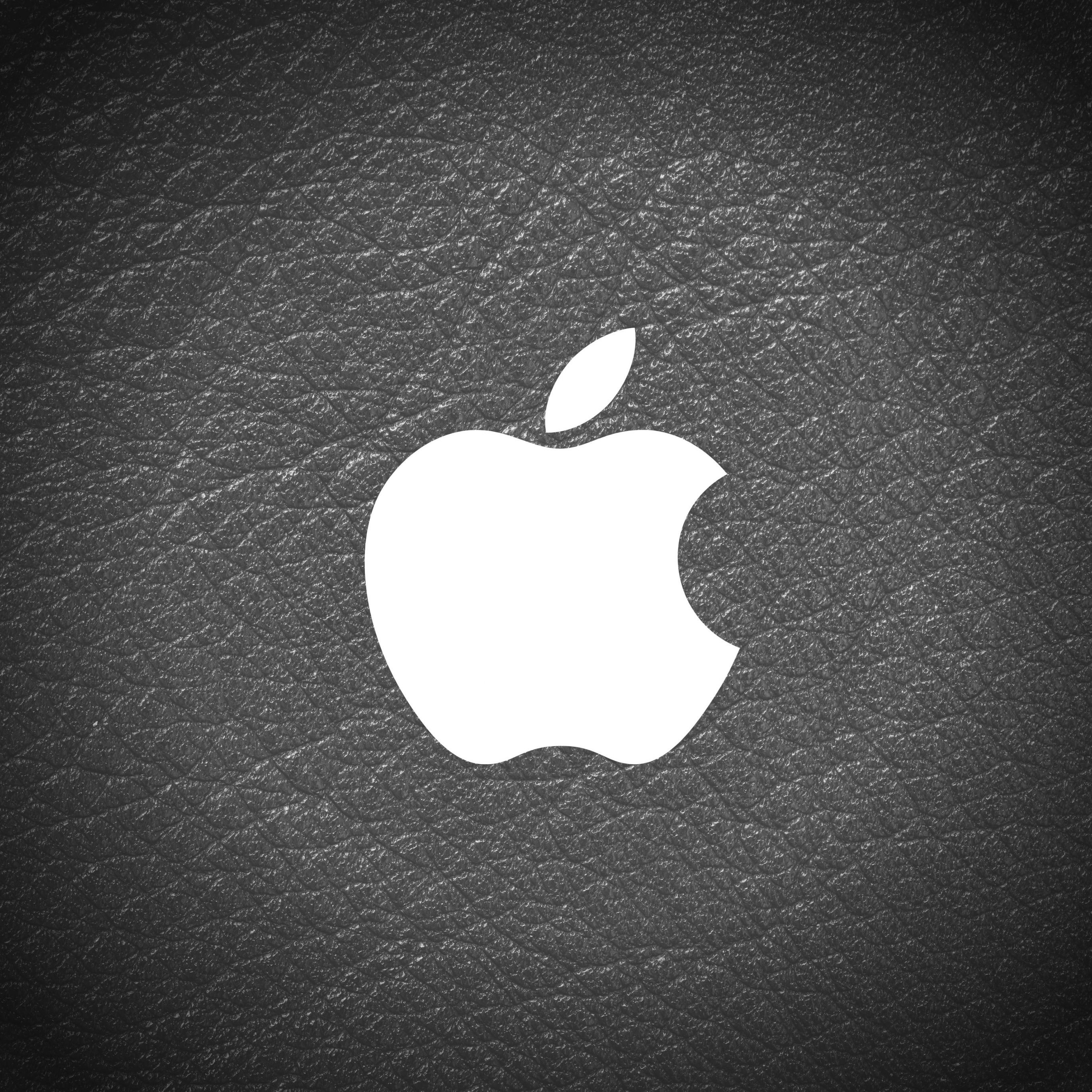 Apple Logo Leather Black and White iPad