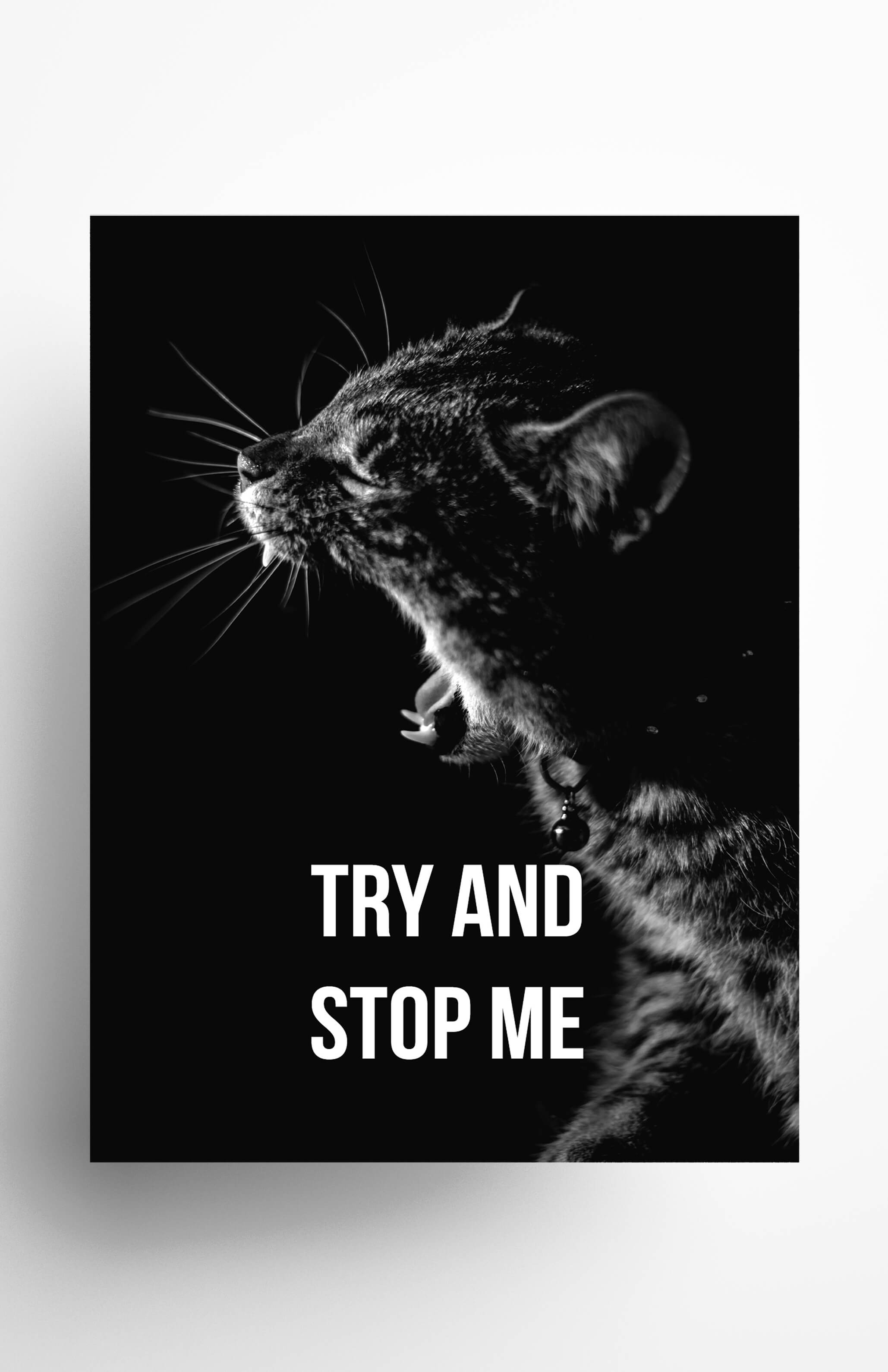 Motivational Posters, Art Prints & Wall
