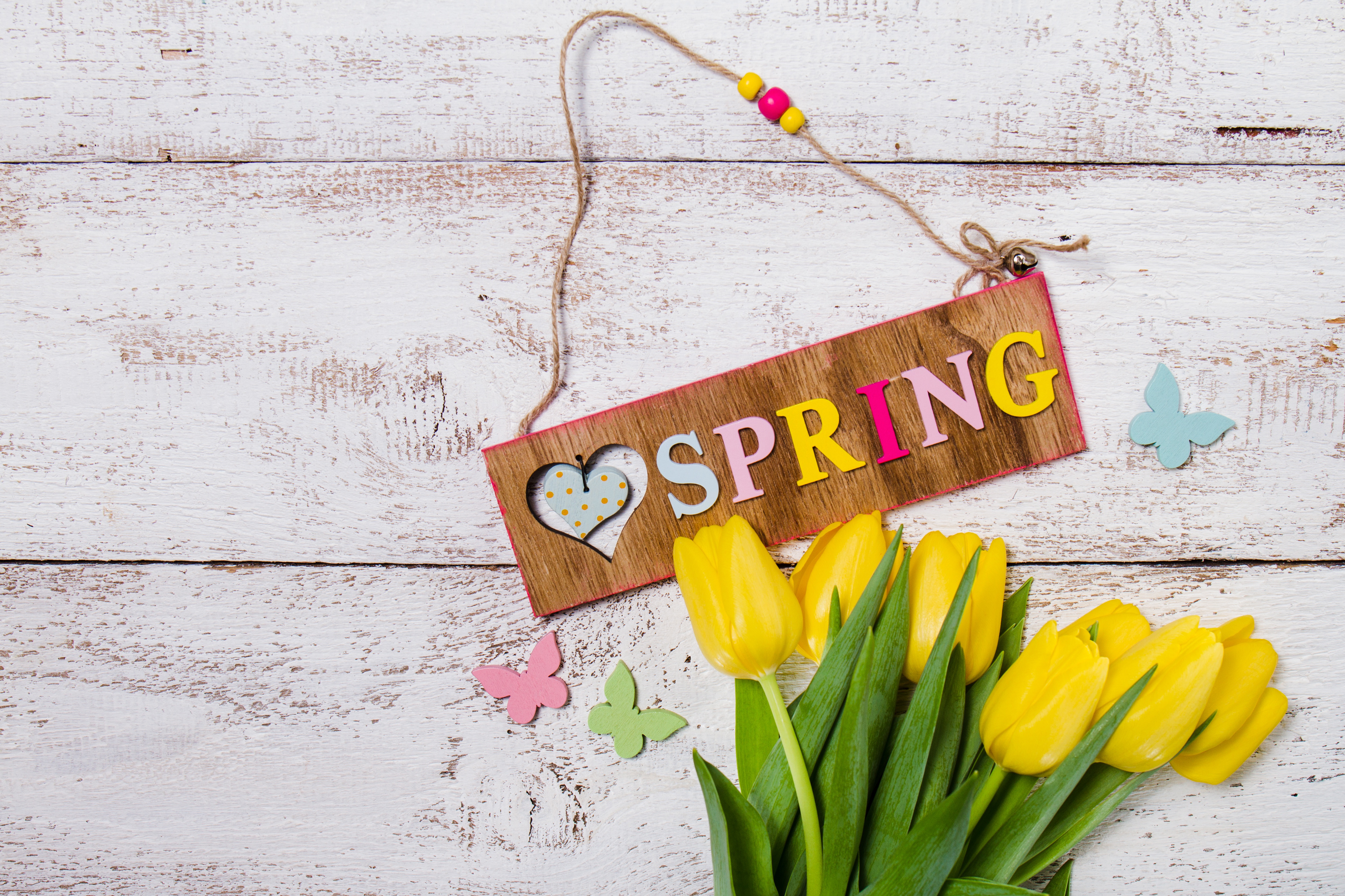 Artistic Spring 4k Ultra HD Wallpaper