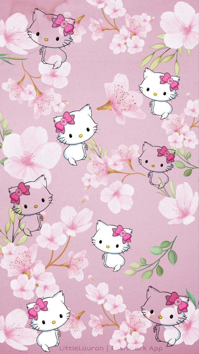 Charming Kitty Sanrio Character