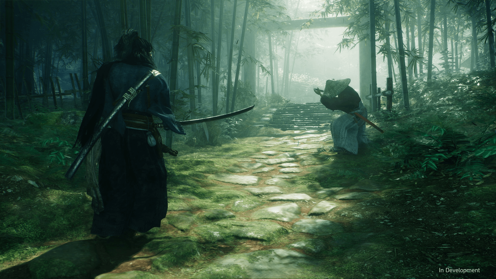 nioh, I want rise of the ronin