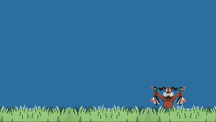 duck hunt 1360x768 Animals Ducks HD Art