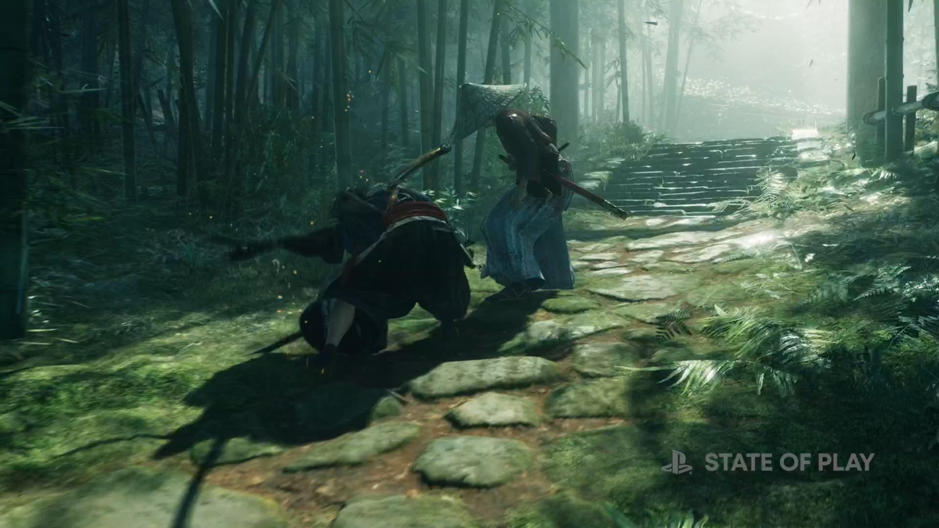 Rise of the Ronin announced, new IP