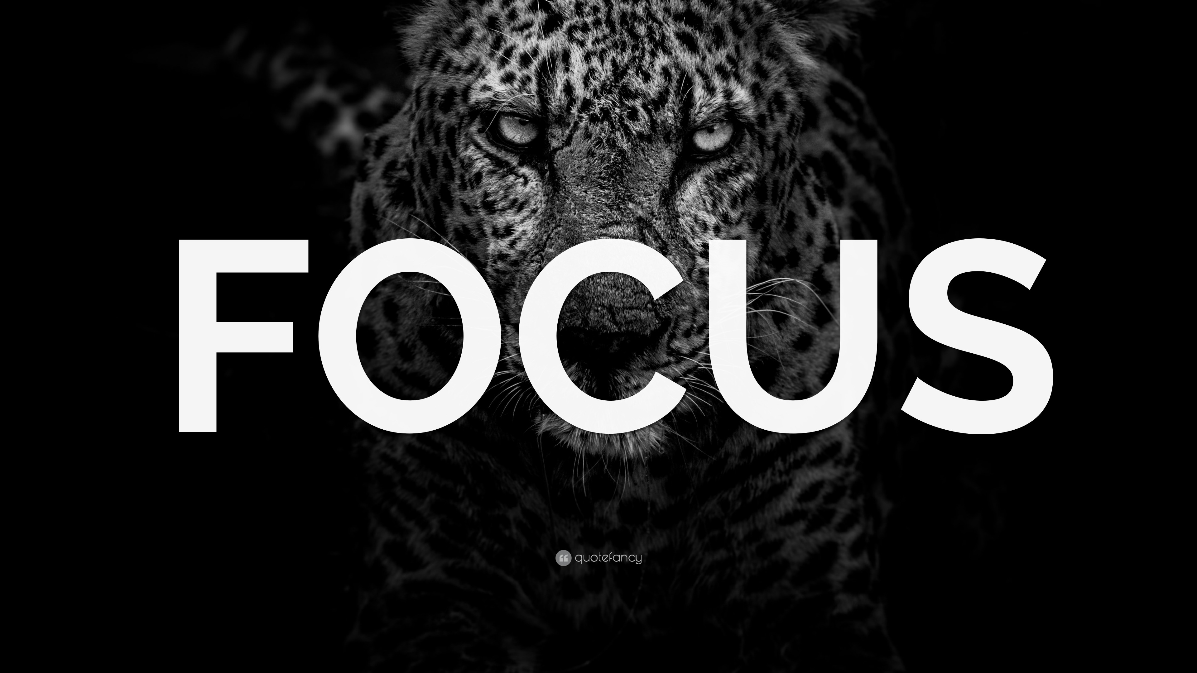 Focus On Your Goals Wallpapers - Wallpaper Cave