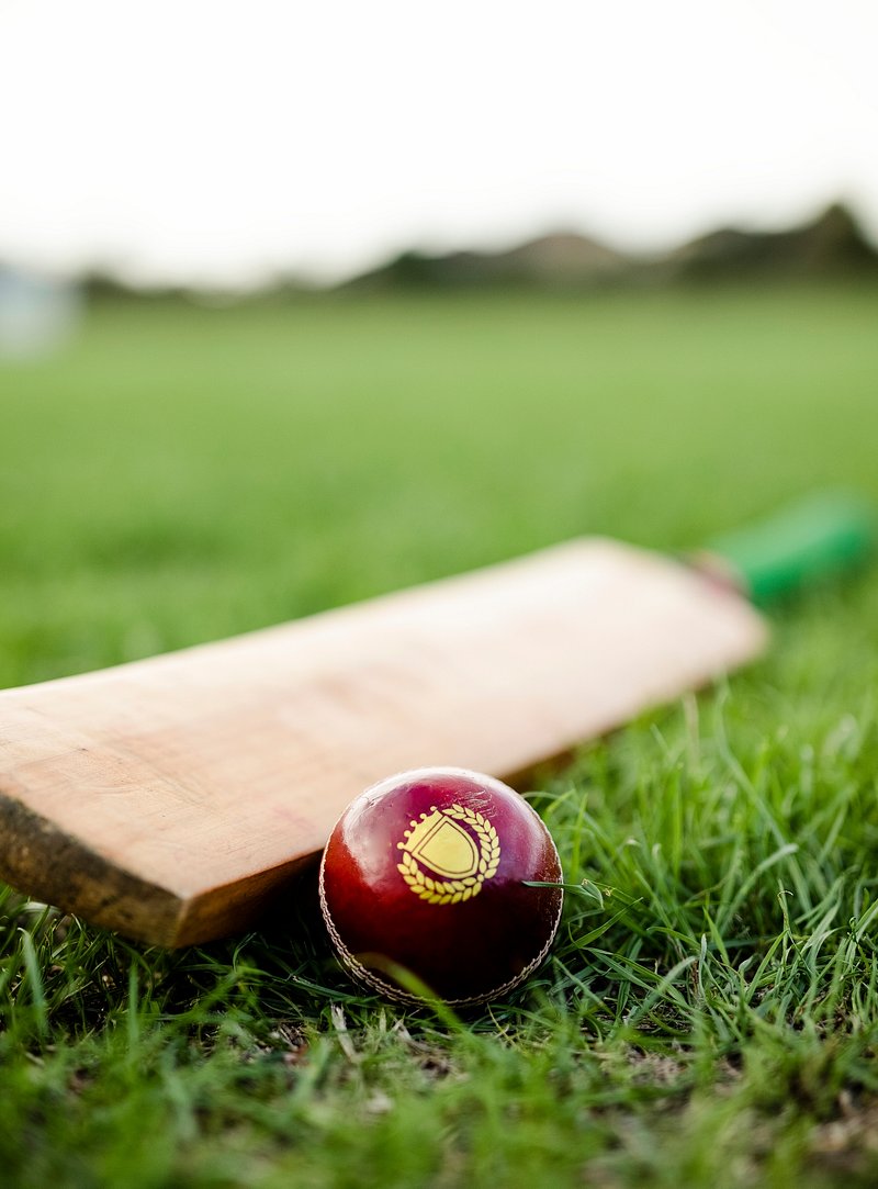 Cricket Image. Free Photo, PNG & PSD Mockups, HD Wallpaper & Illustrations