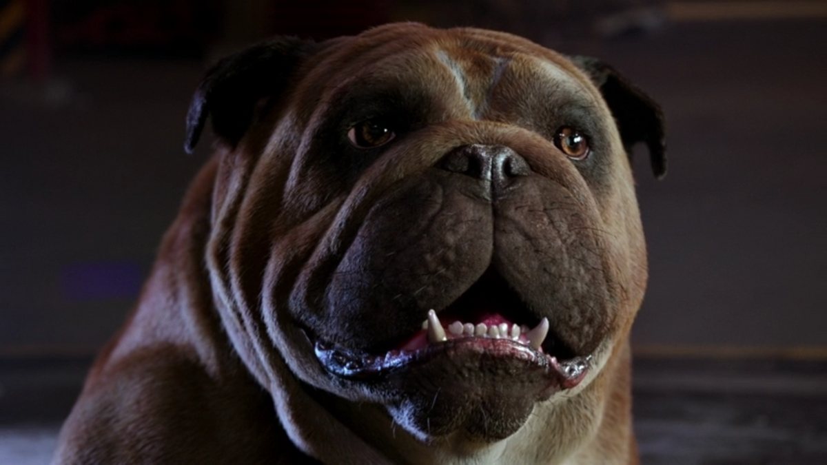 Lockjaw. Marvel Cinematic Universe