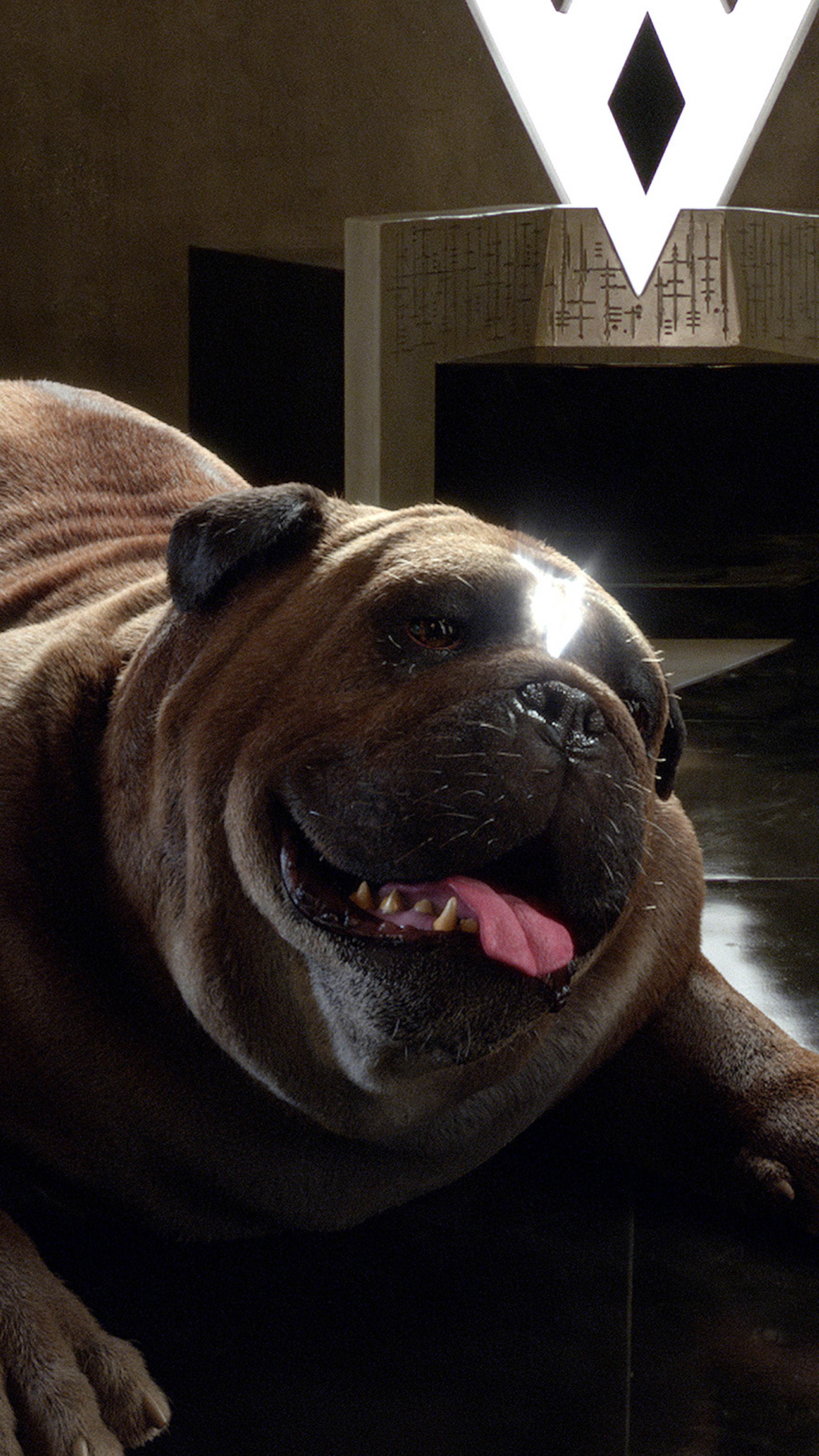 Lockjaw Inhumans Tv Series