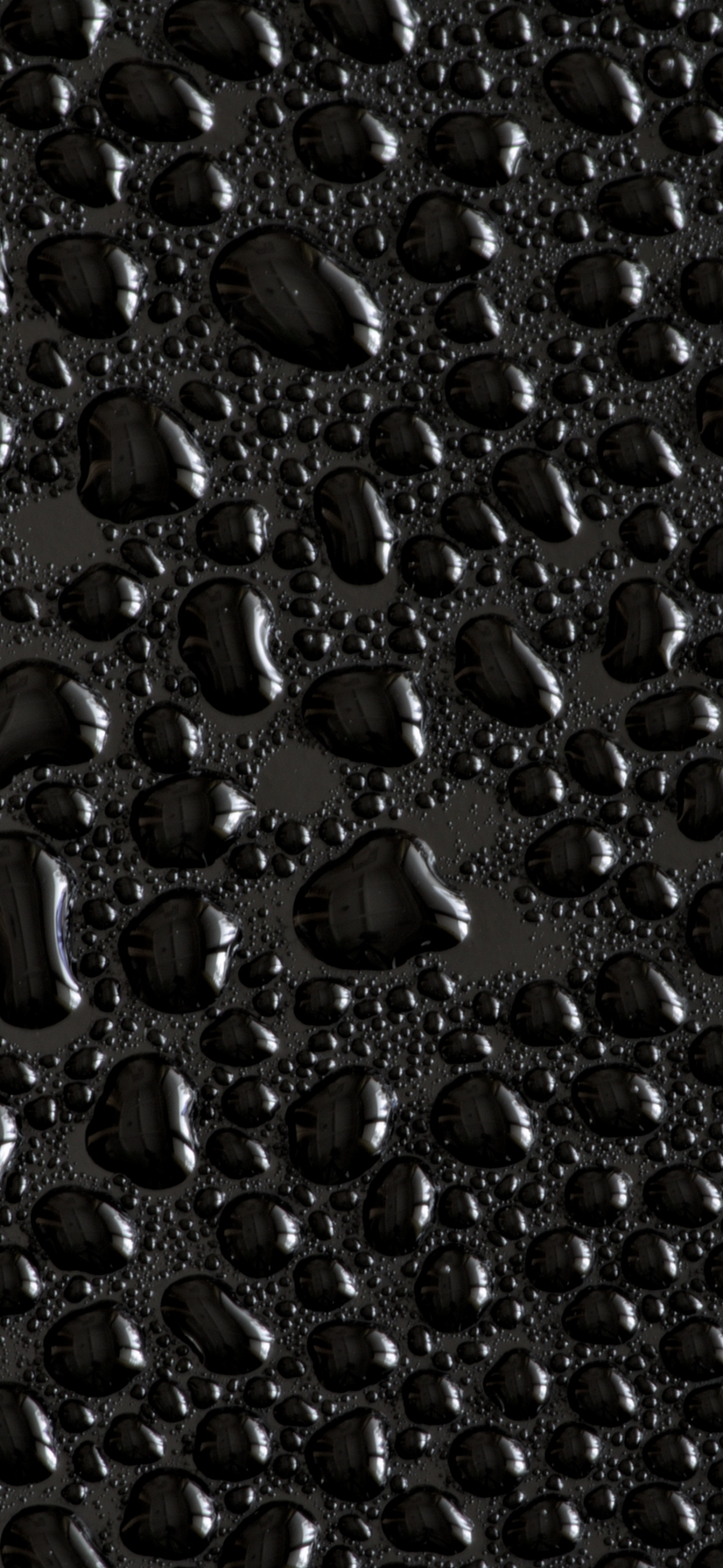 Water droplets Wallpaper 4K, Black
