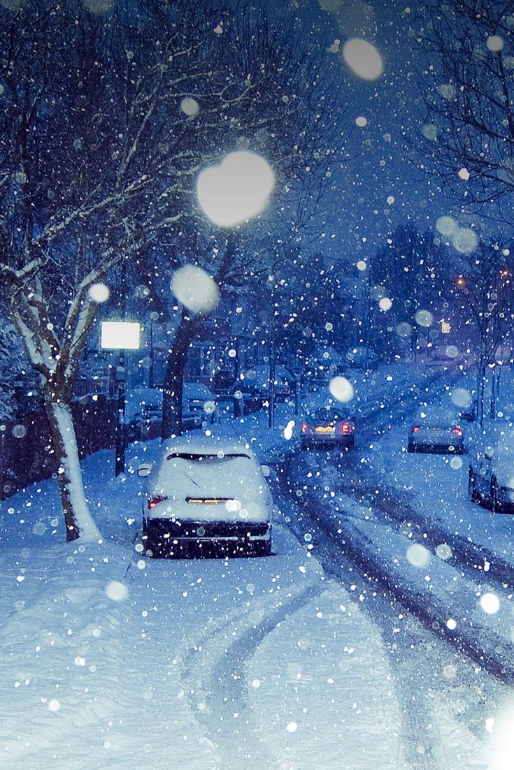 Winter Wonderland: Magical Snowy Night
