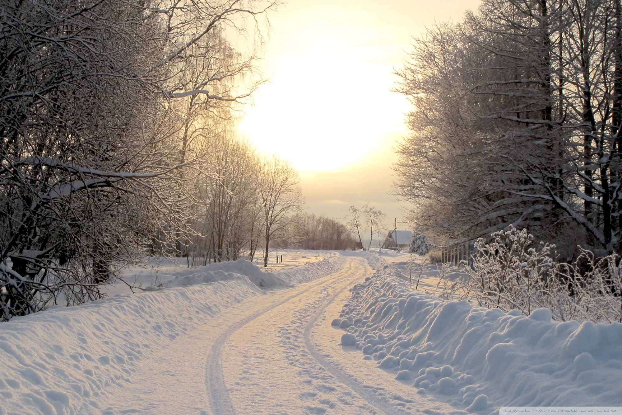 Desktop Background Wallpaper