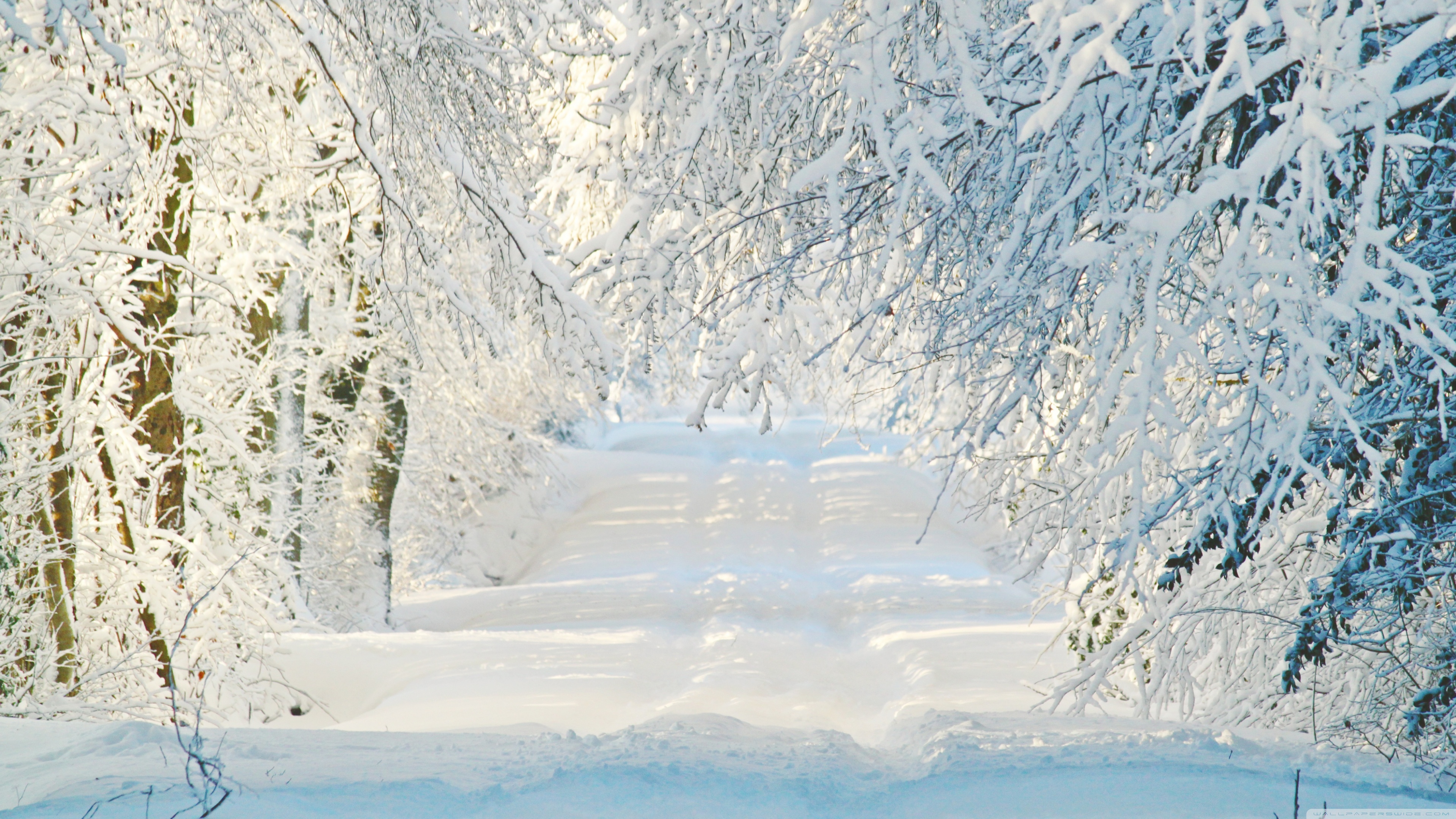 Desktop Background Wallpaper