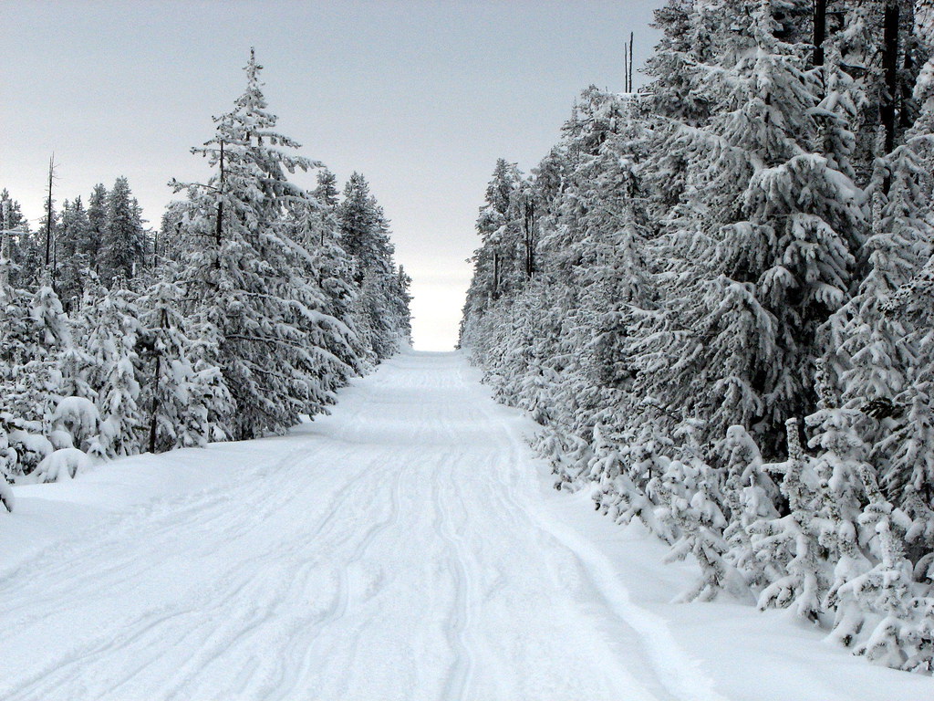 snowy Christmas photo I will post