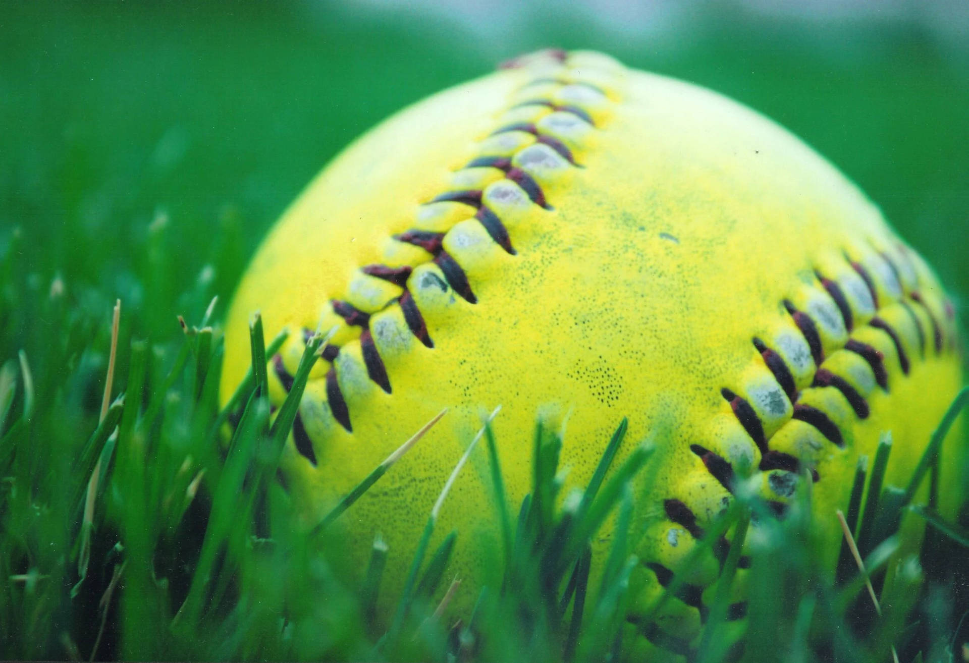 Cute Softball Background