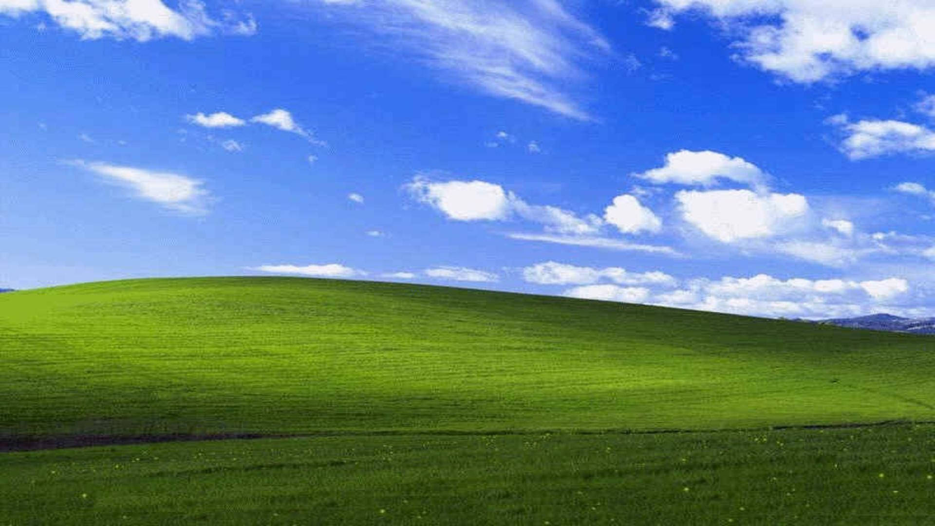 Microsoft Desktop Background