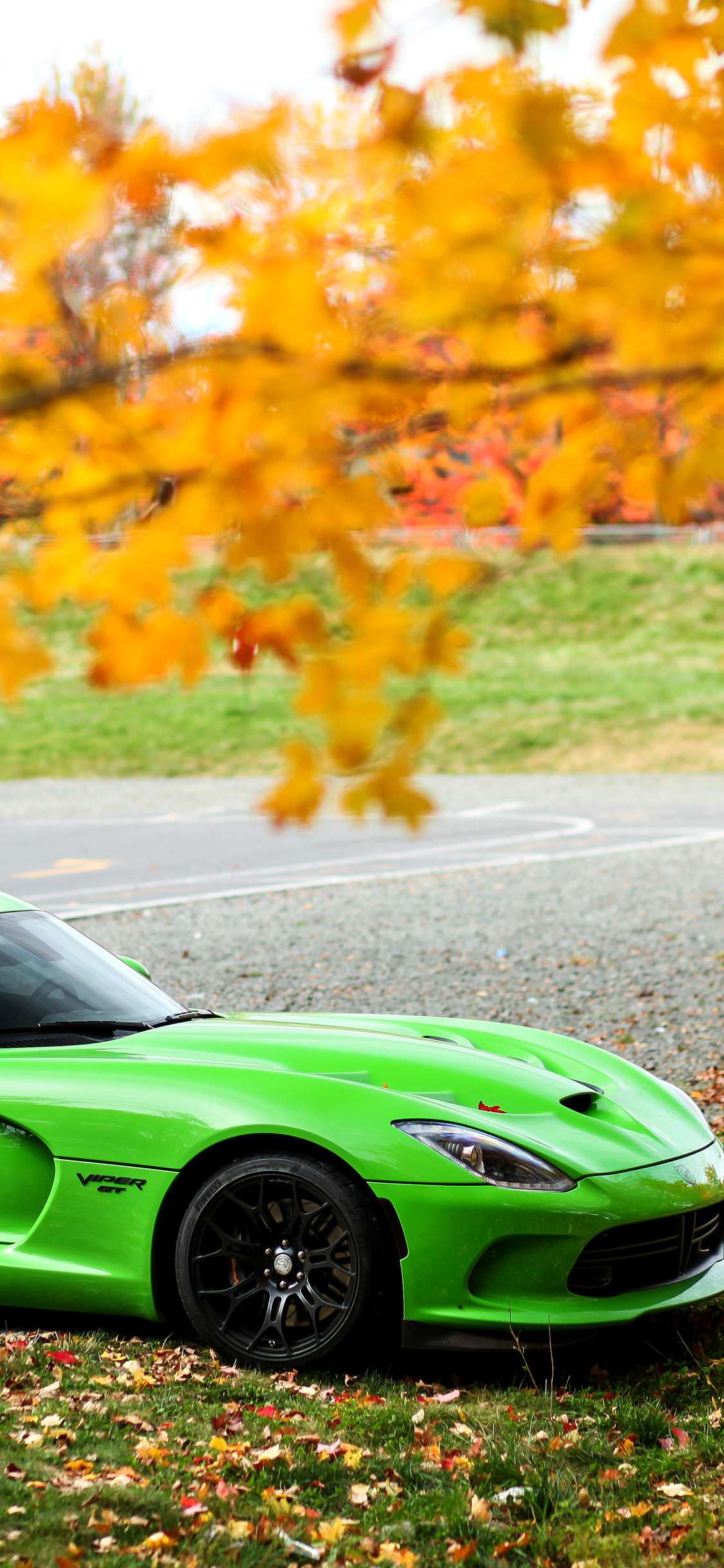 Green Dodge Viper GTC 4k