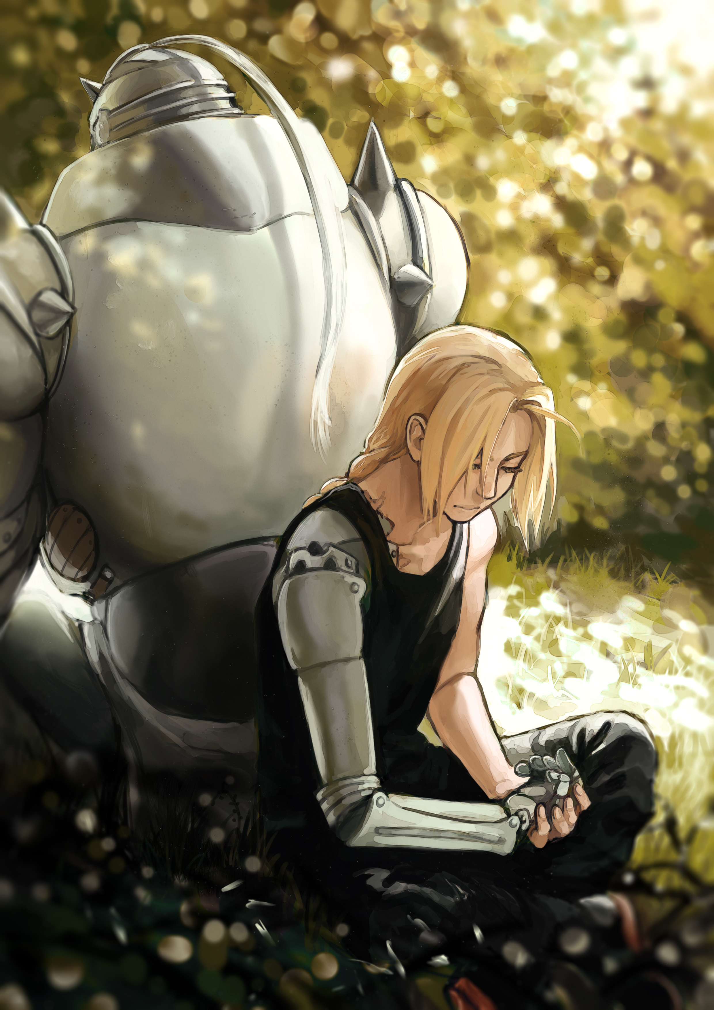 Elric Brothers Alchemist