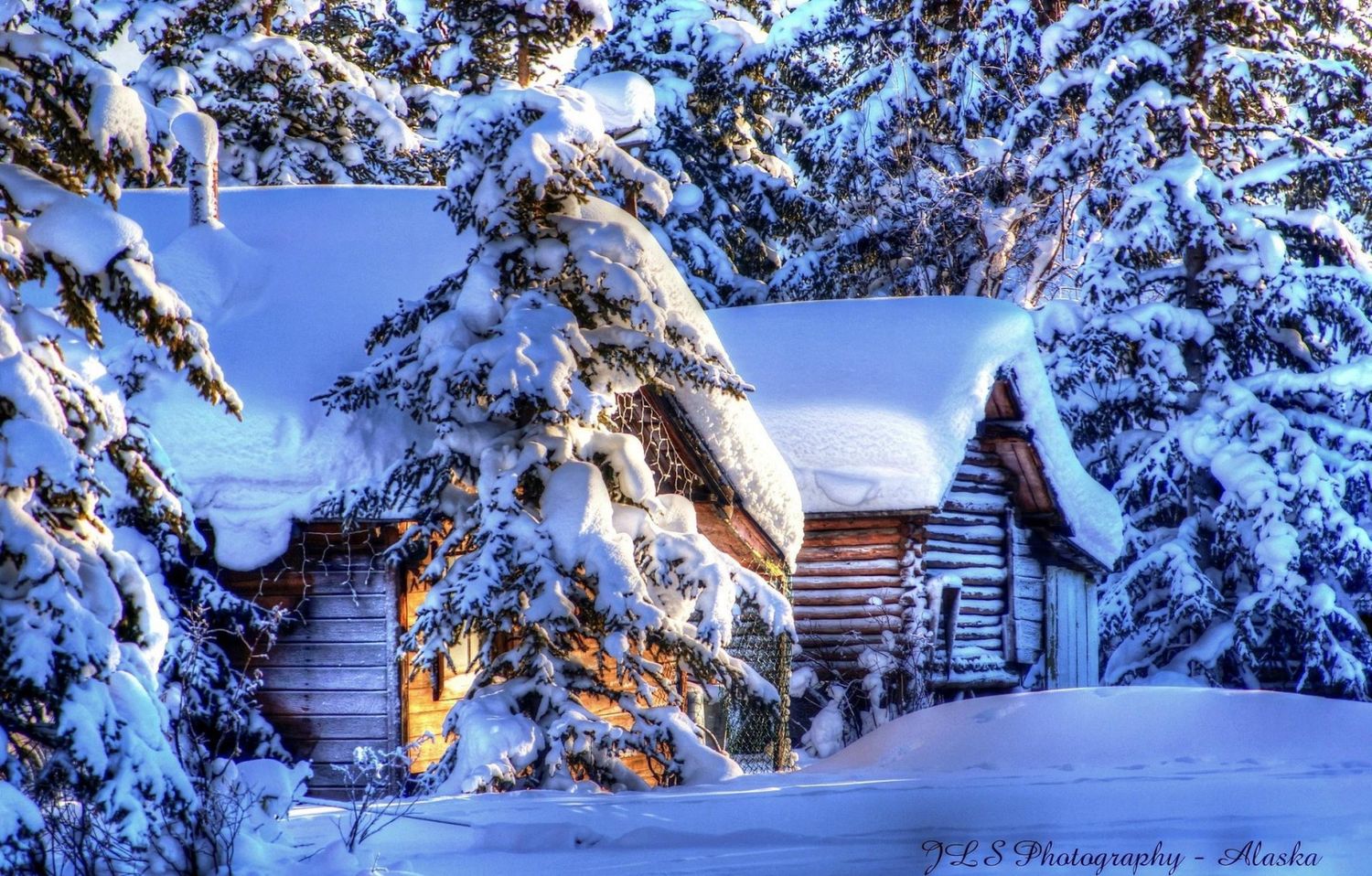 Winter Alaska · small group tours