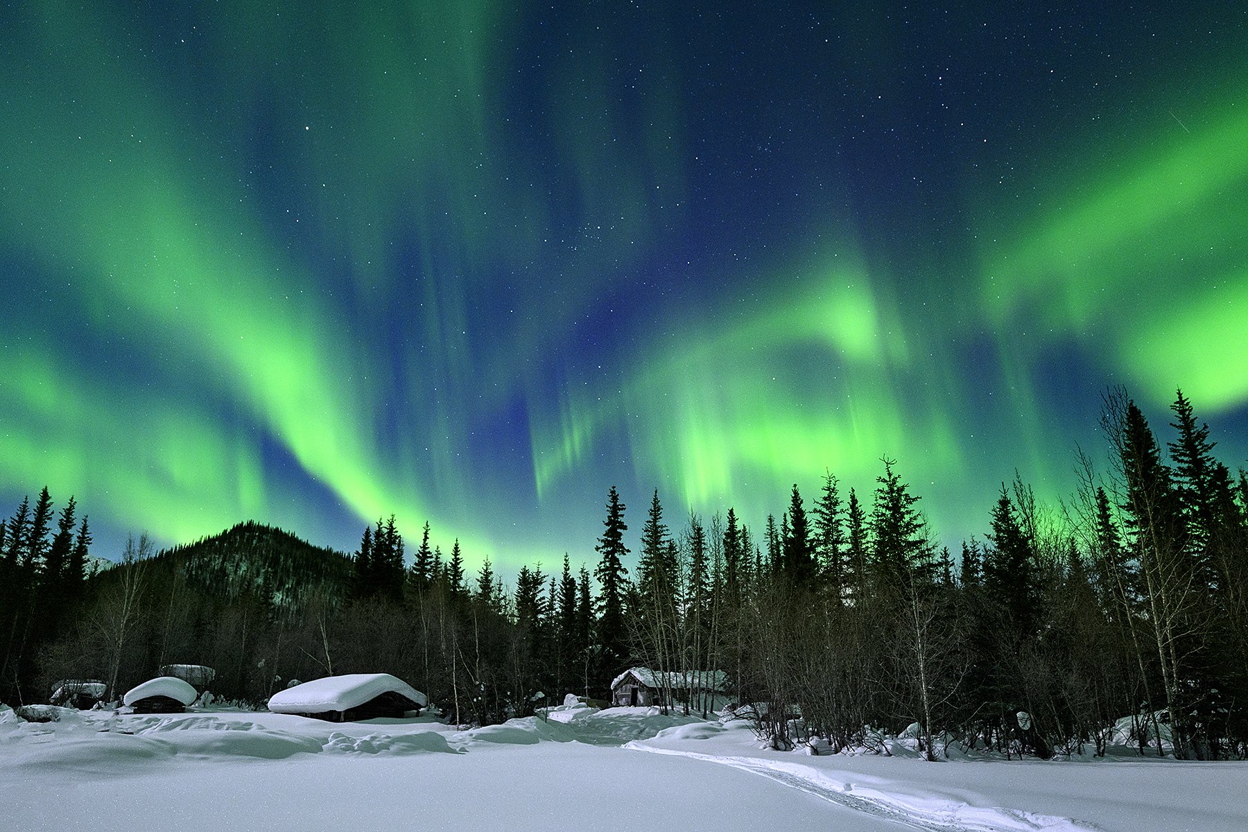 Alaska Winter Forest Wallpapers - Wallpaper Cave