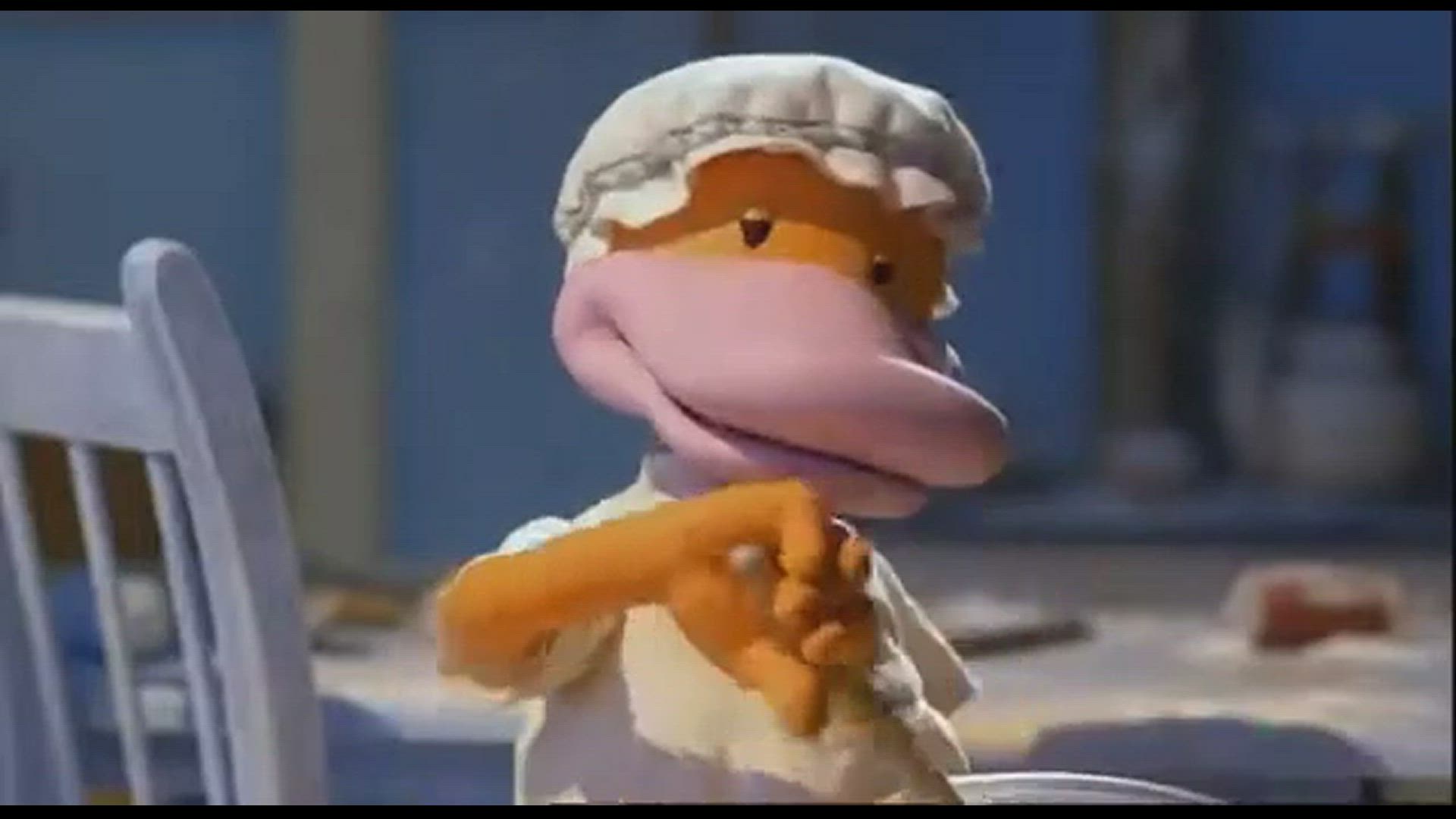 The Koala Brothers / Video Examples