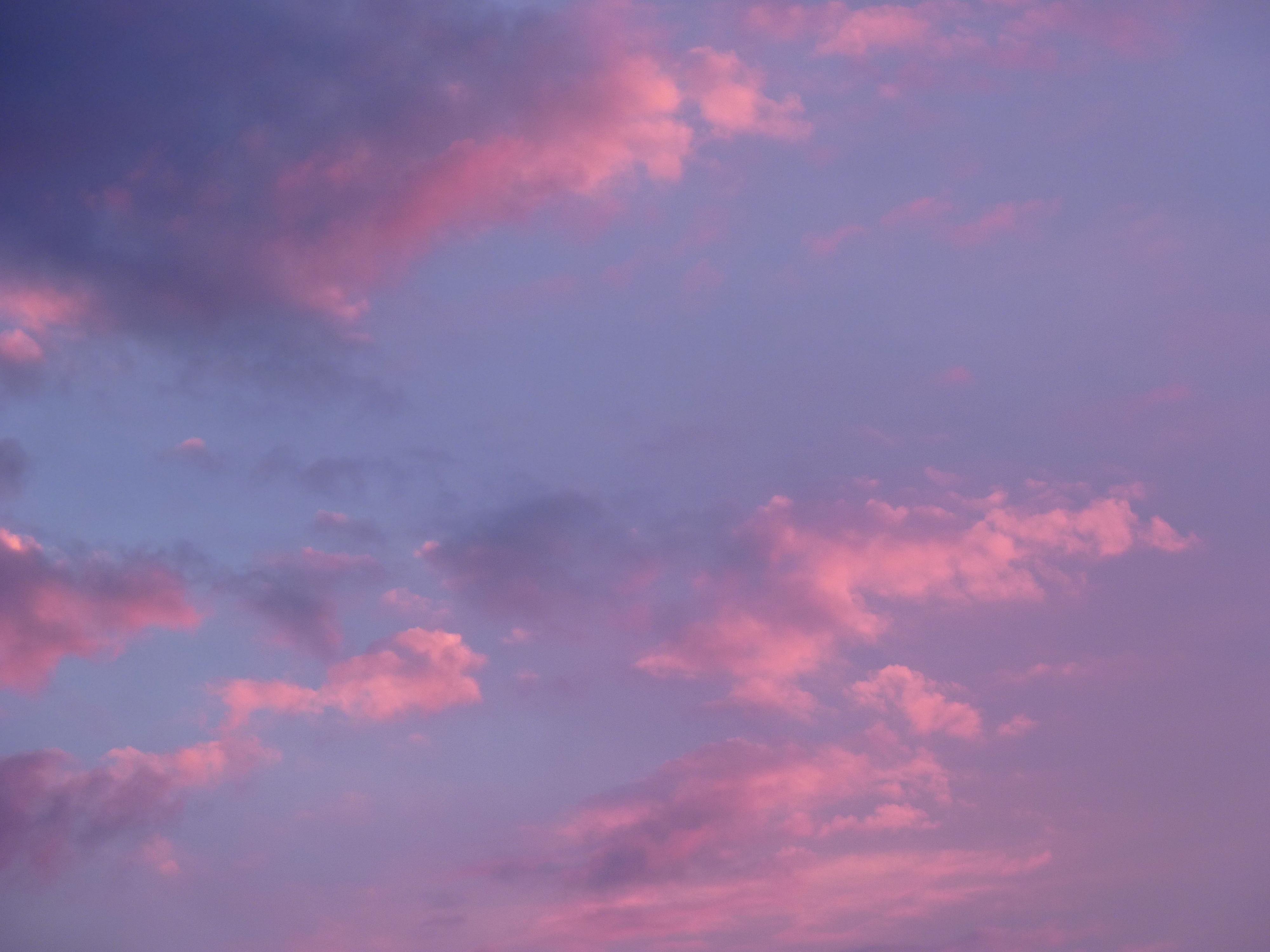 Cotton Candy Clouds. Glendale Daily