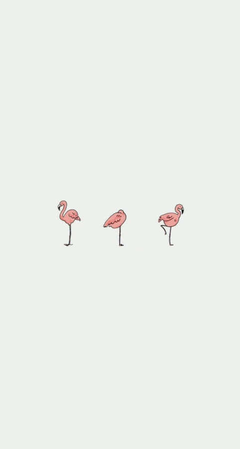 iPhone Simple Cute Wallpaper