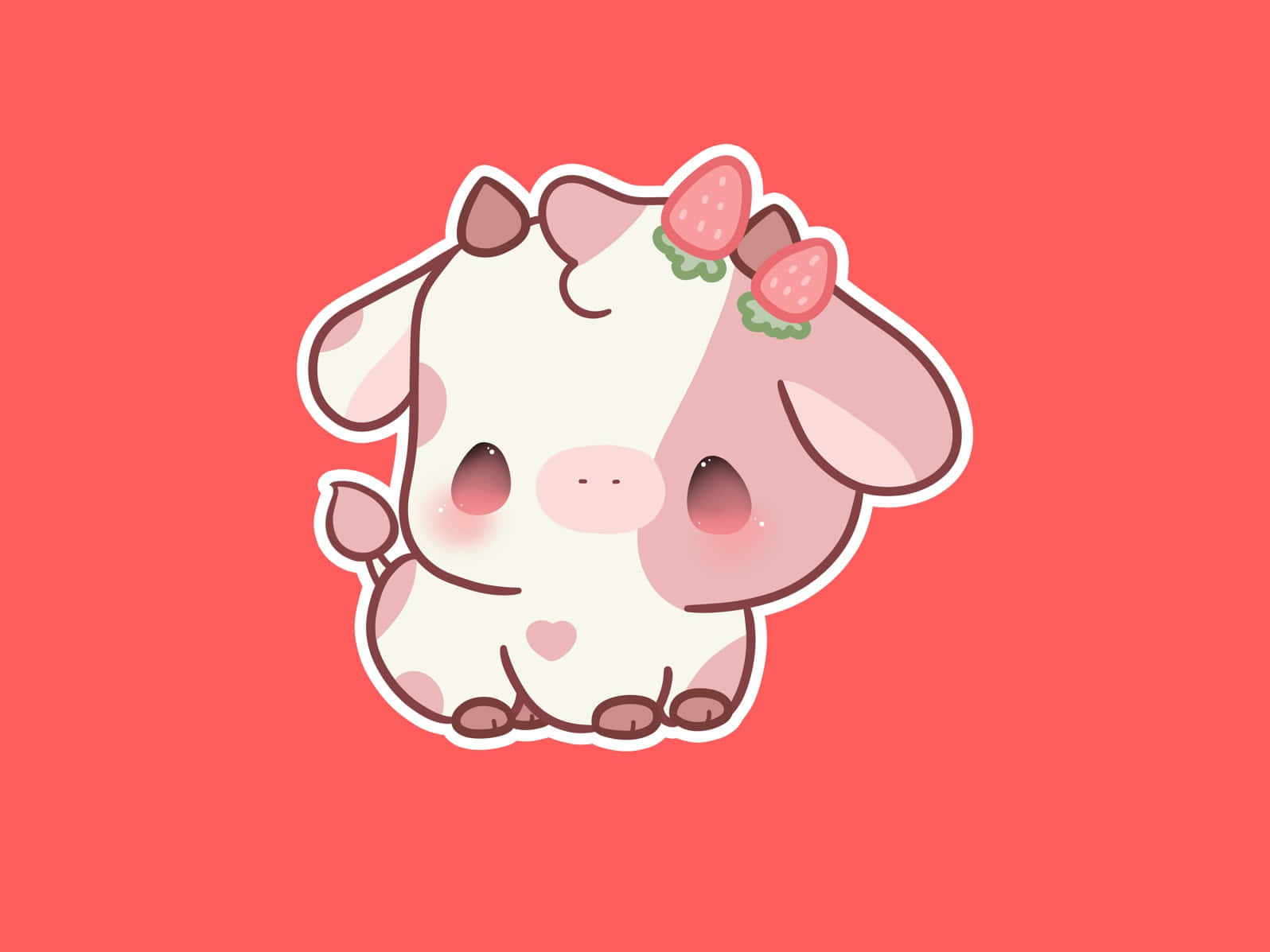 Aesthetic Cow Wallpaper