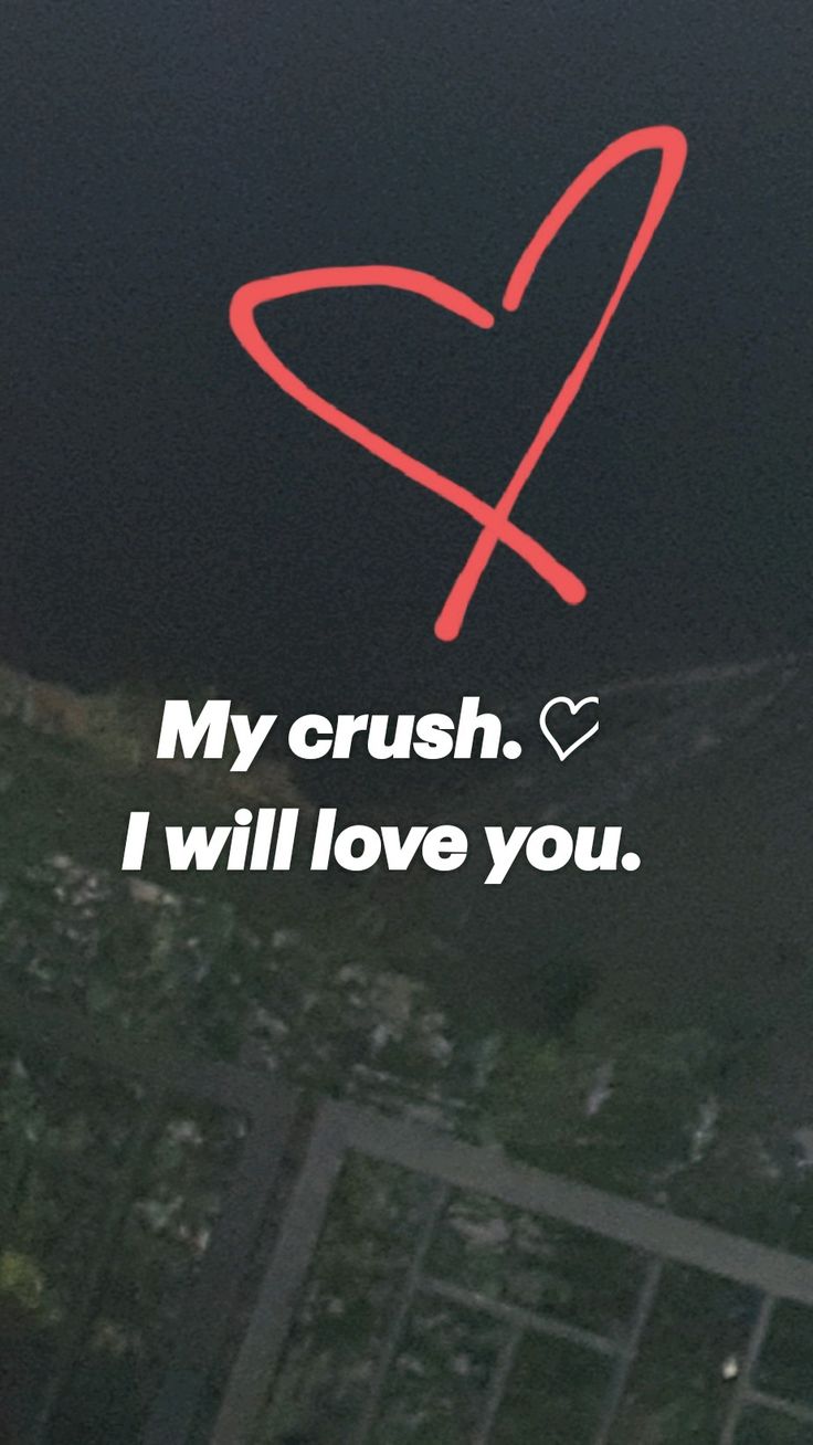 I will love you. My crush.♡