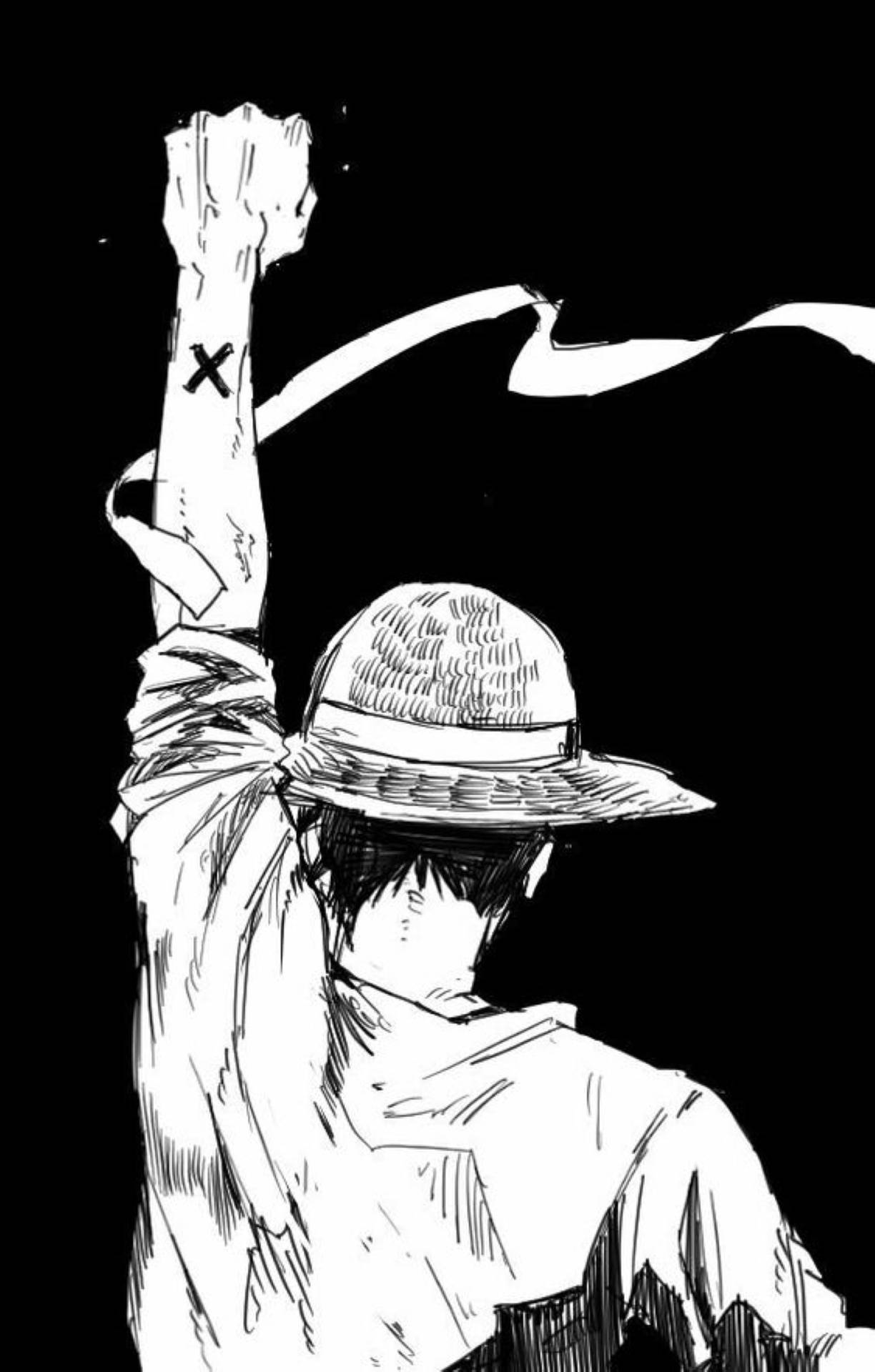 Download Monkey D Luffy Back Sketch Art