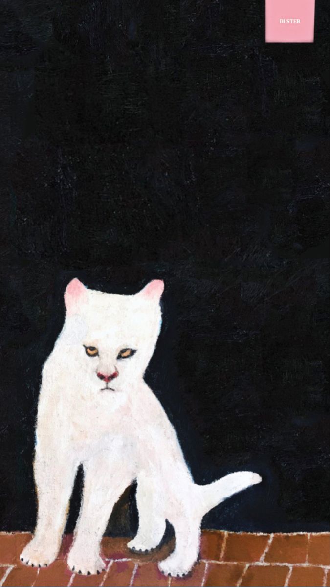 Duster wallpaper. Cover wallpaper, Cat