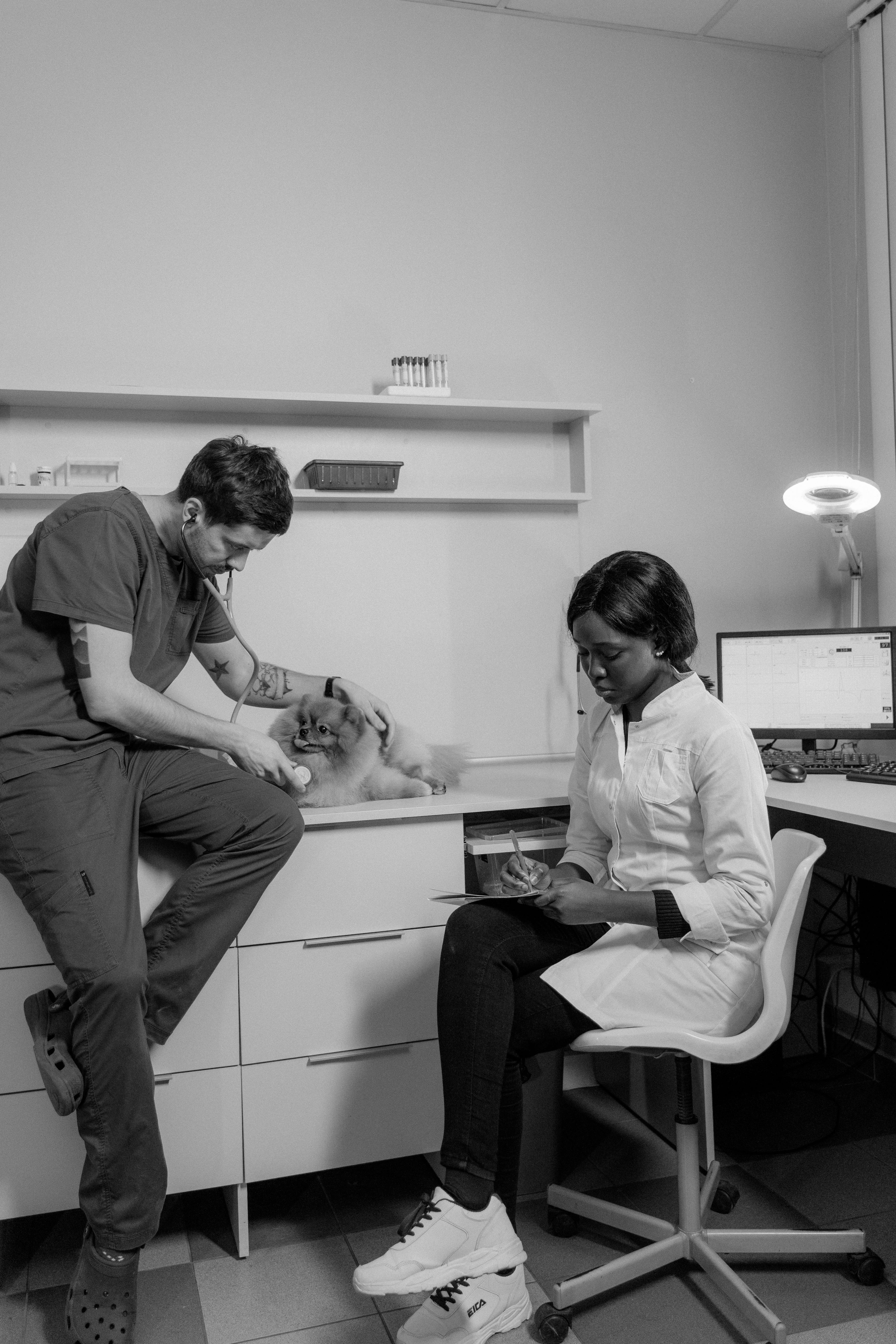 Medical Assistant Photo, Download