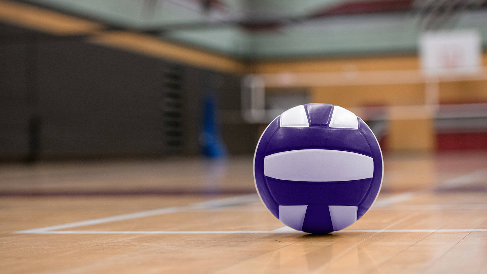 Holy Cross Announces Leadership Changes