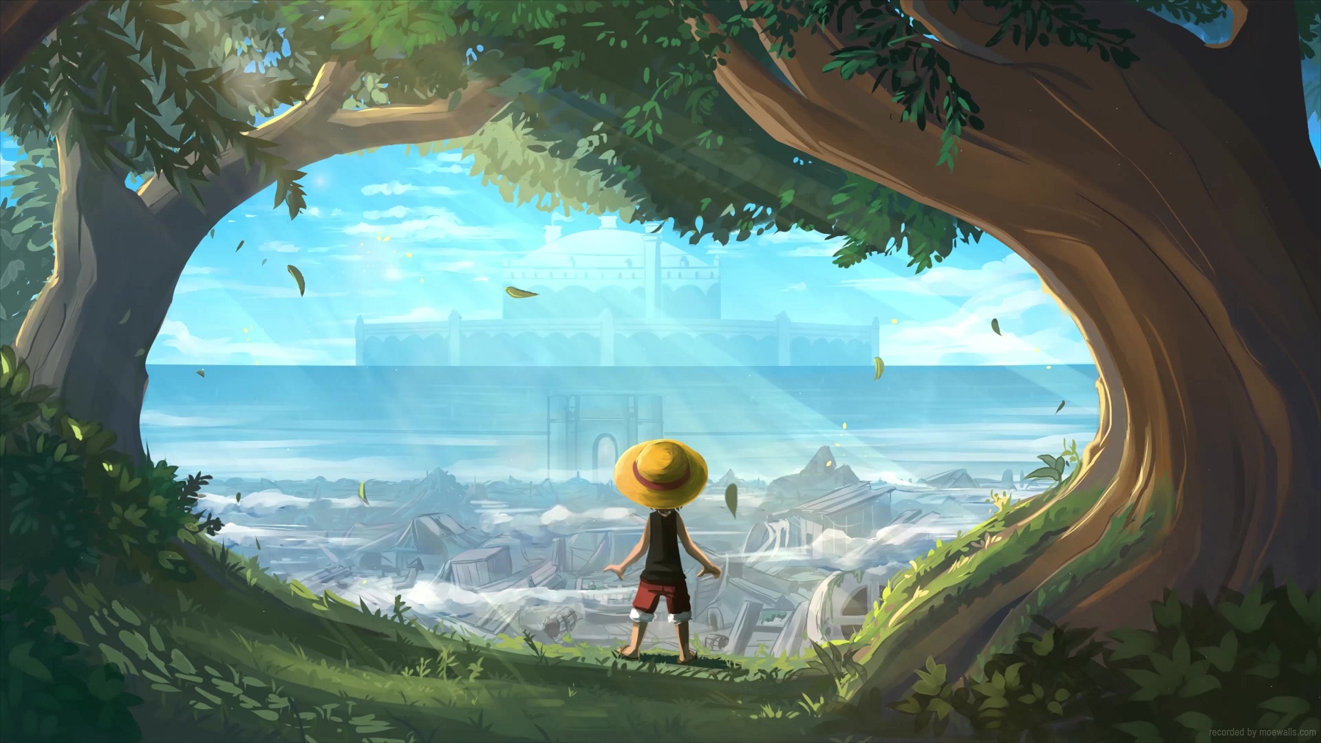 Luffy Kid One Piece Live Wallpaper