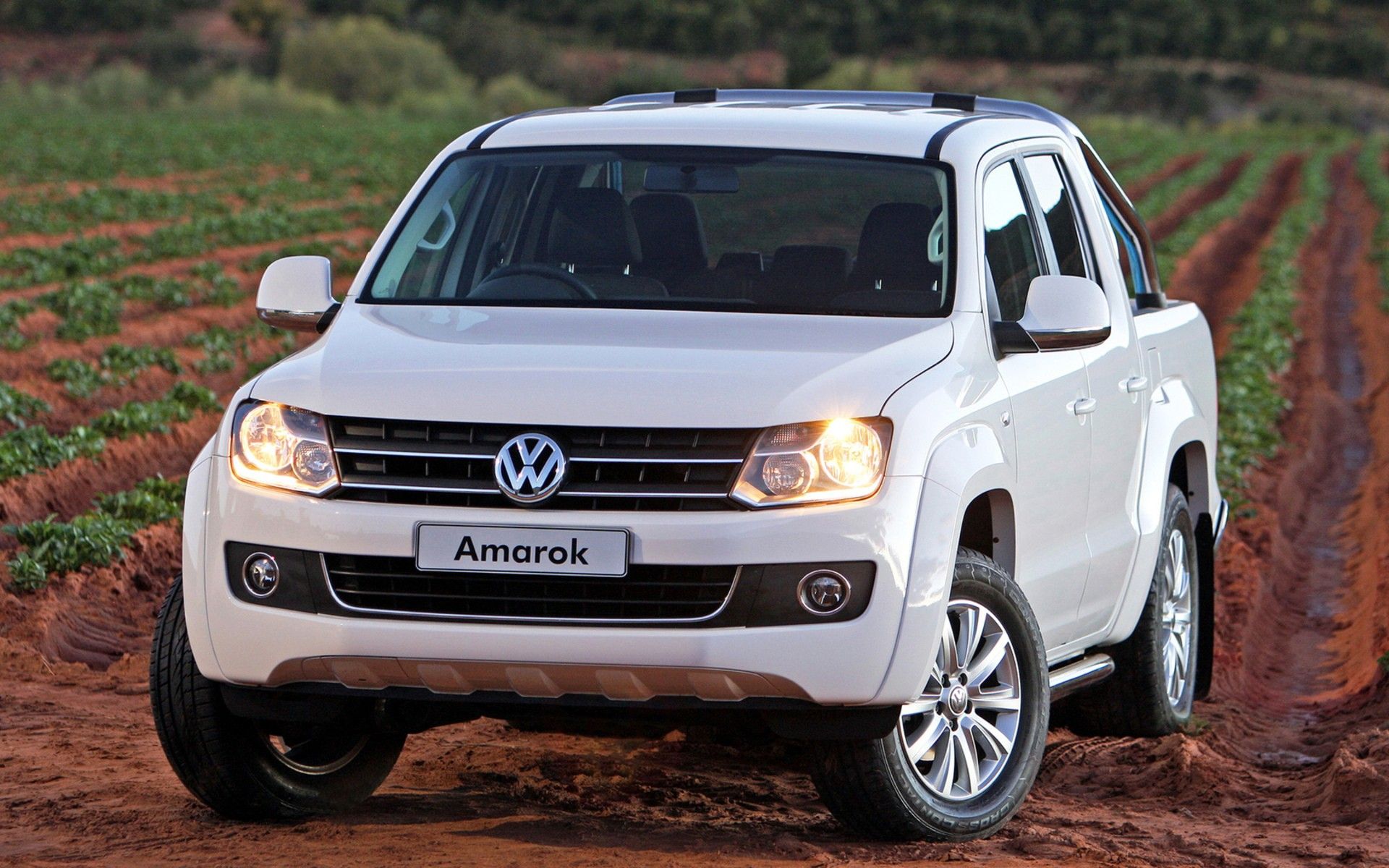 Vw amarok, Volkswagen models