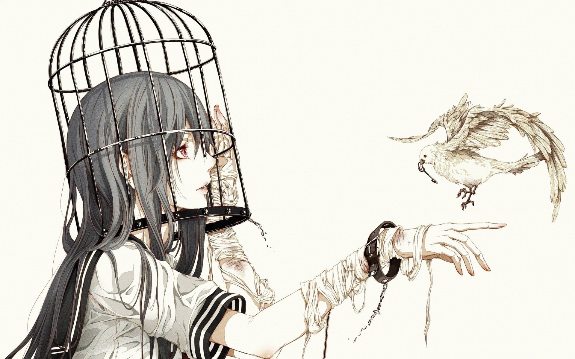 HD wallpaper: Anime, Original, Bird