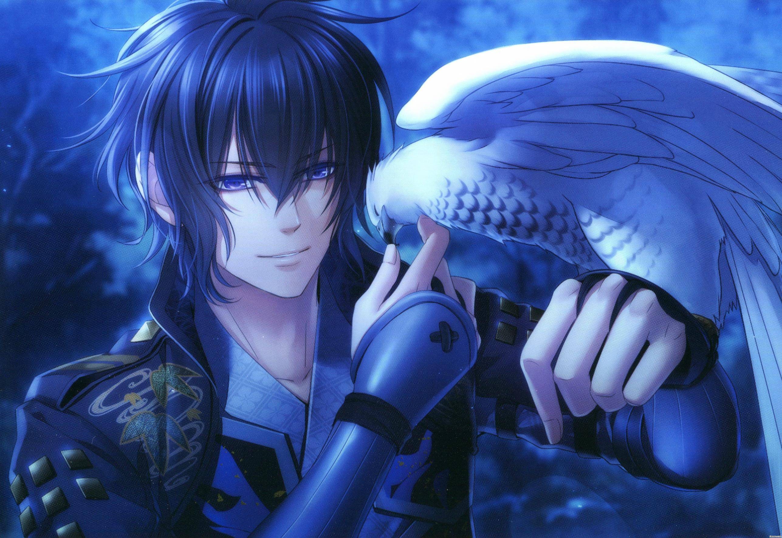 eagle, hawks, Toki no Kizuna, anime