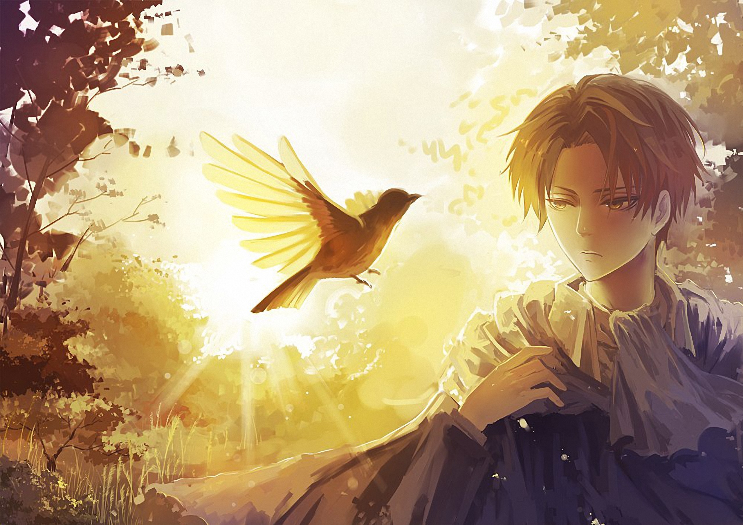 desktop wallpaper: Anime, Bird, Attack