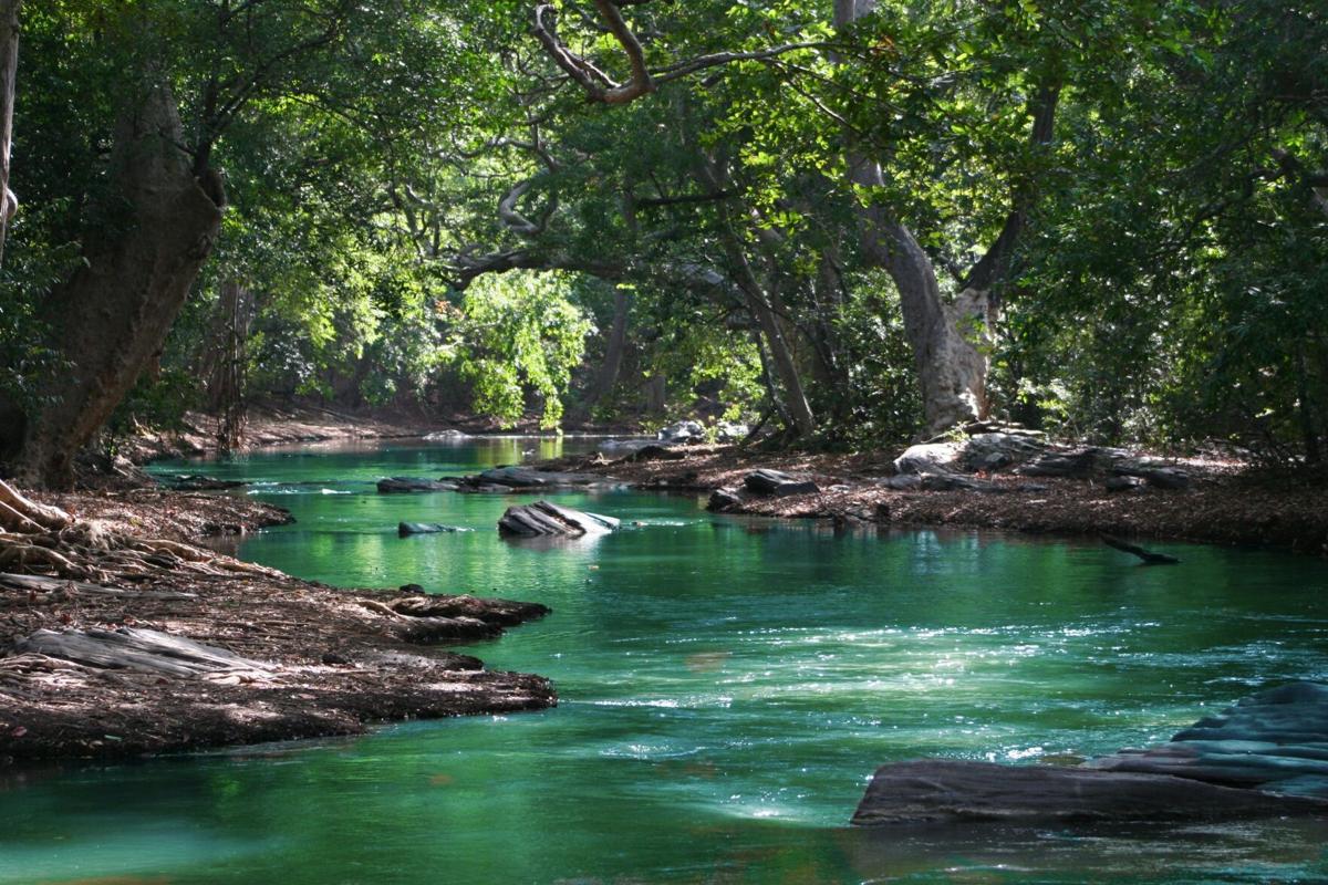 Texas State Parks See Record Attendance