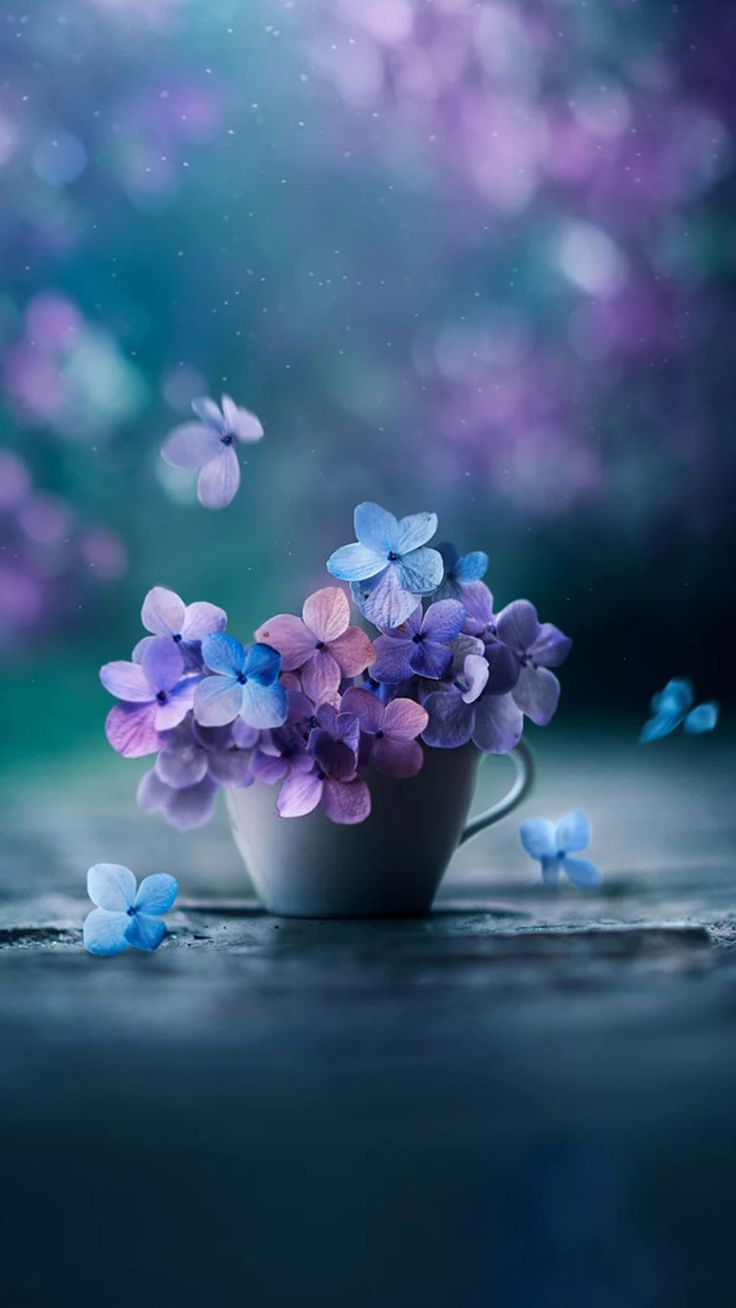 Spring iPhone 13 Pro Max Wallpaper